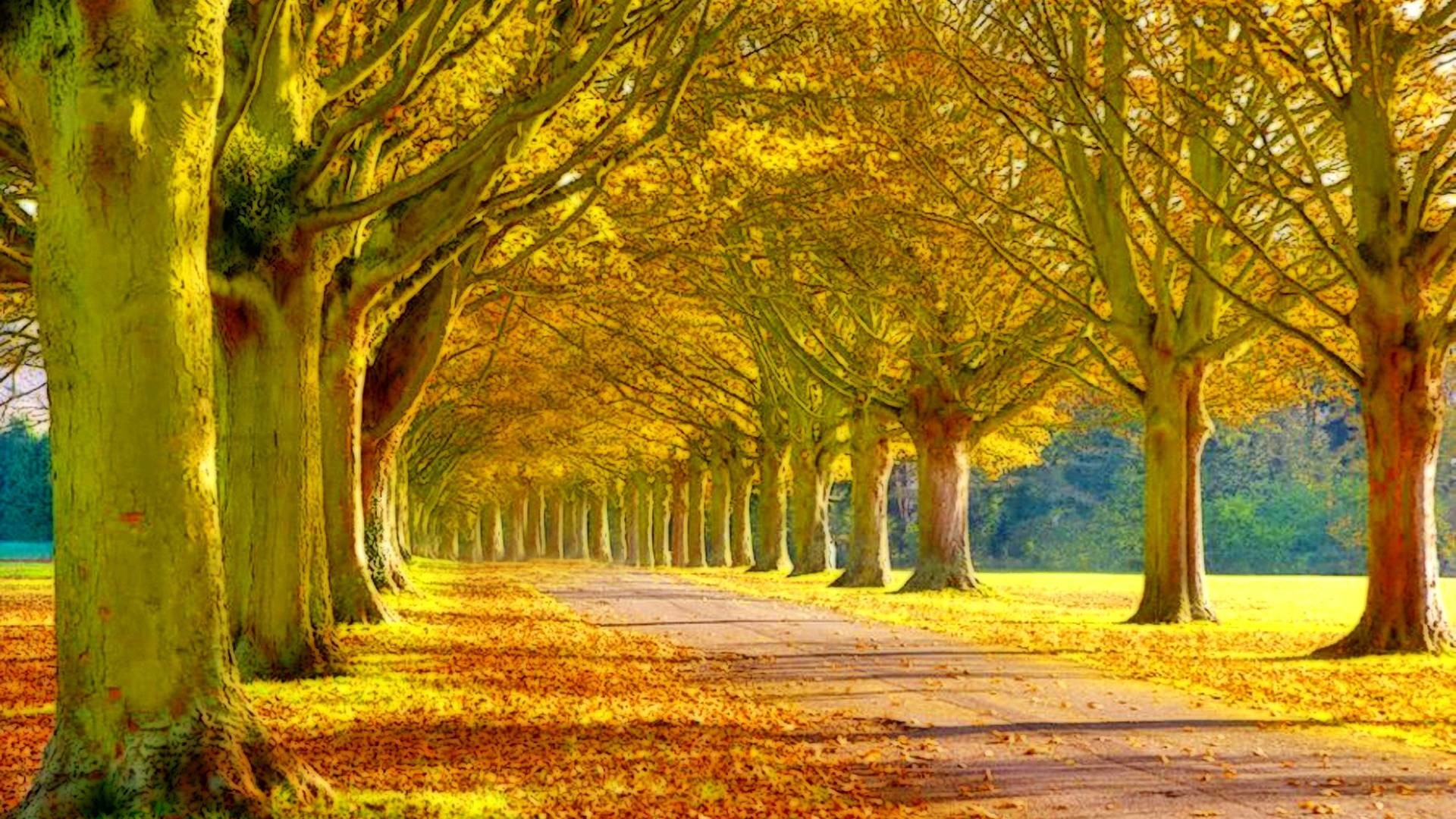 1920x1080 Wallpapers For > Beautiful Fall Scenery Background