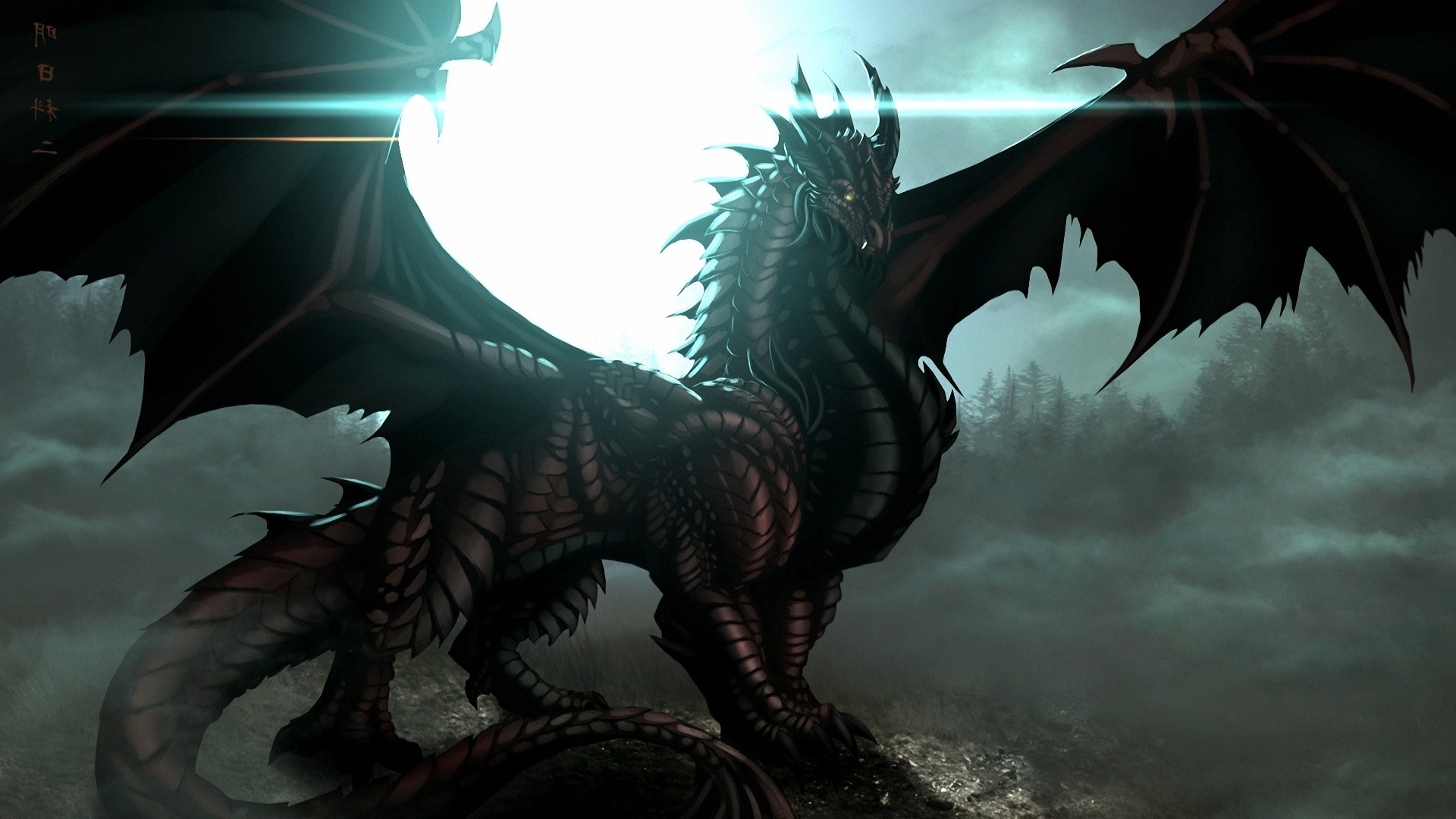 1920x1080 Collection of Black Dragon Wallpaper Hd on Spyder Wallpapers