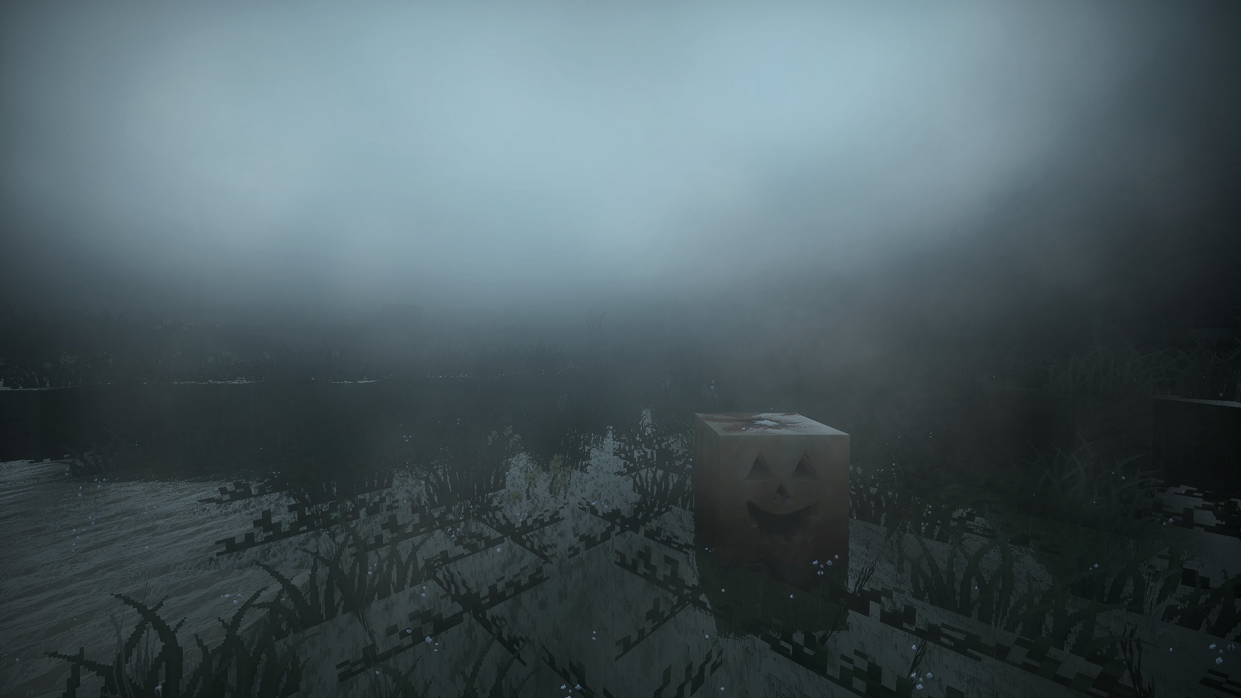 2560x1440 Minecraft - A Walk In The Mist (Atmospheric Cinematic) (SEUS) | 1440p 60fps
