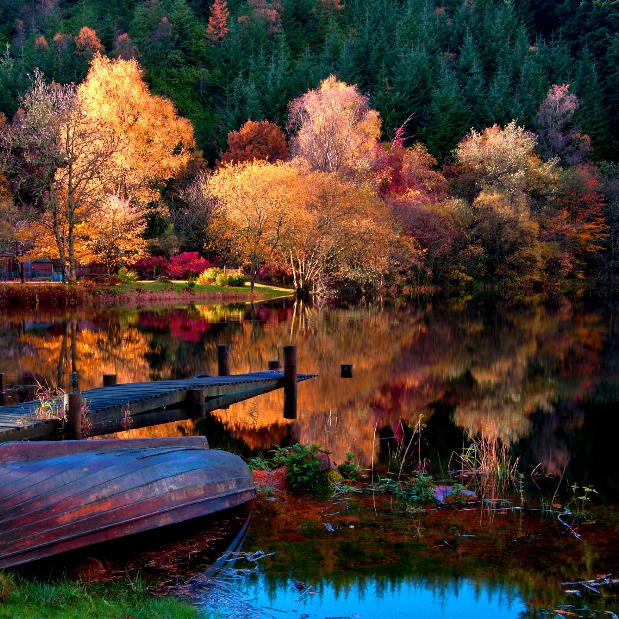 2048x2048  Wallpaper boat, coast, bottom, autumn, lake, surface, trees,