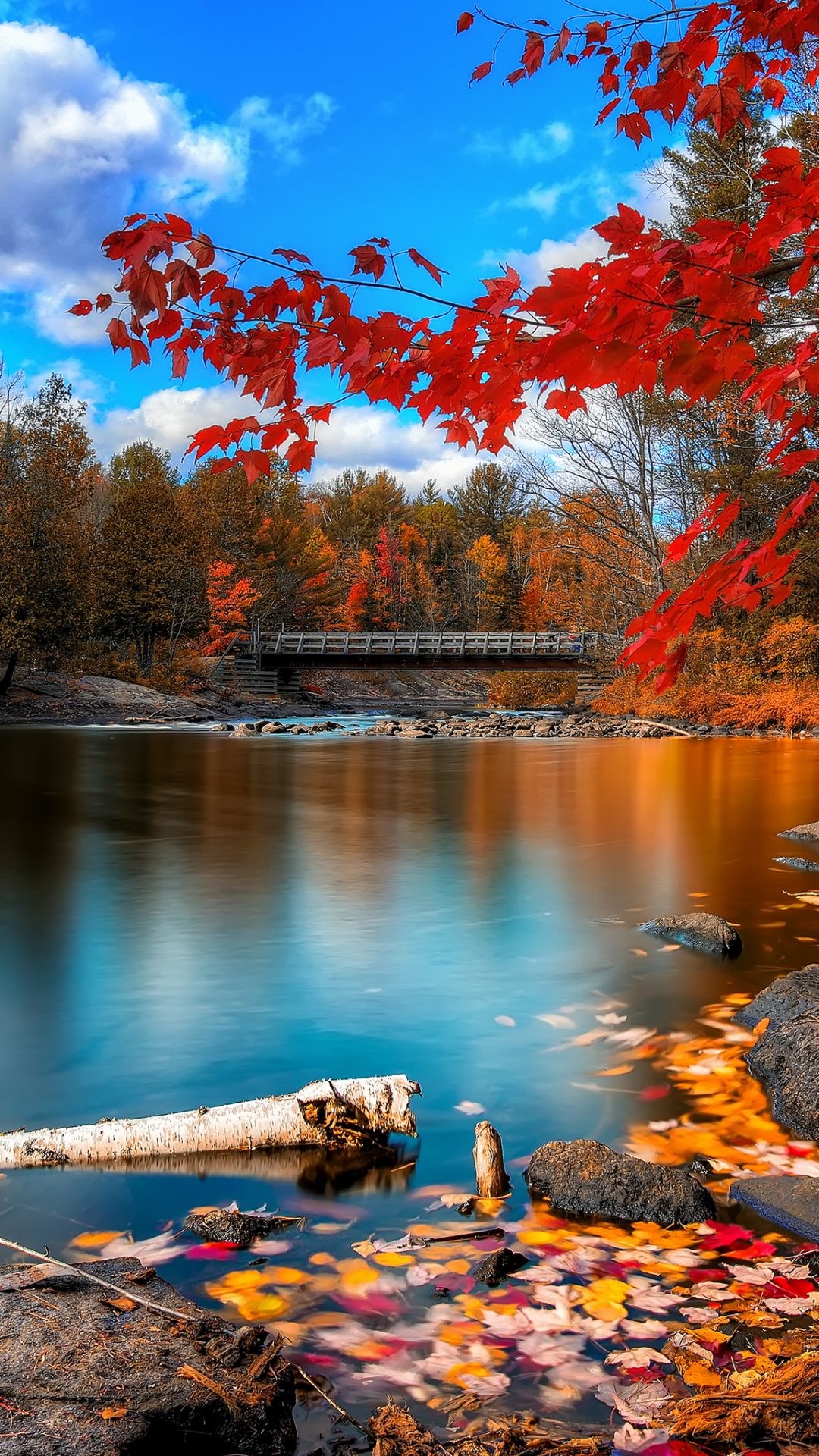 1080x1920 Autumn scenery - Tap to see more beautiful nature wallpapers! - @mobile9
