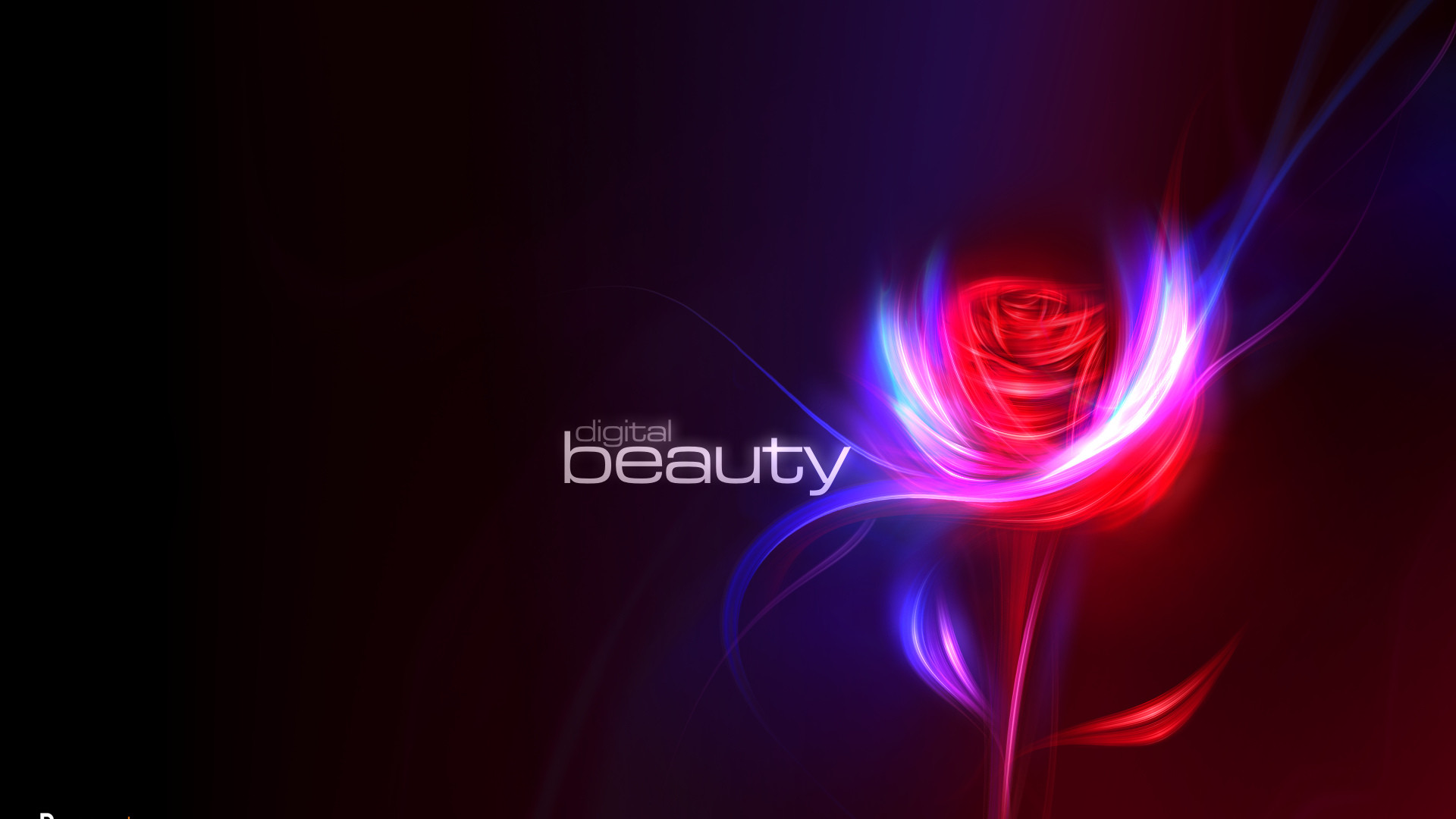 cosmetology wallpaper