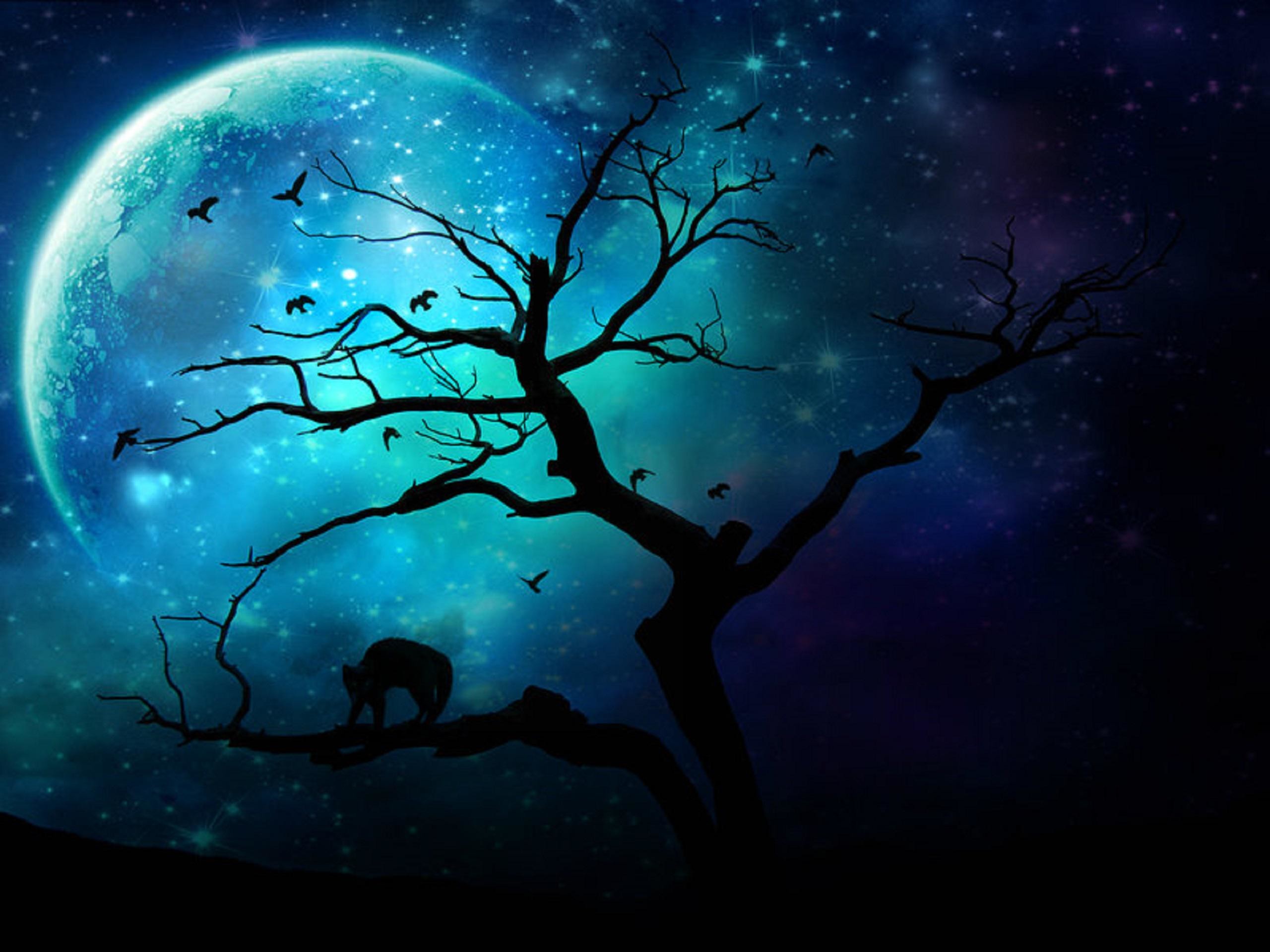 2560x1920 Blue Moon wallpapers hd resolution