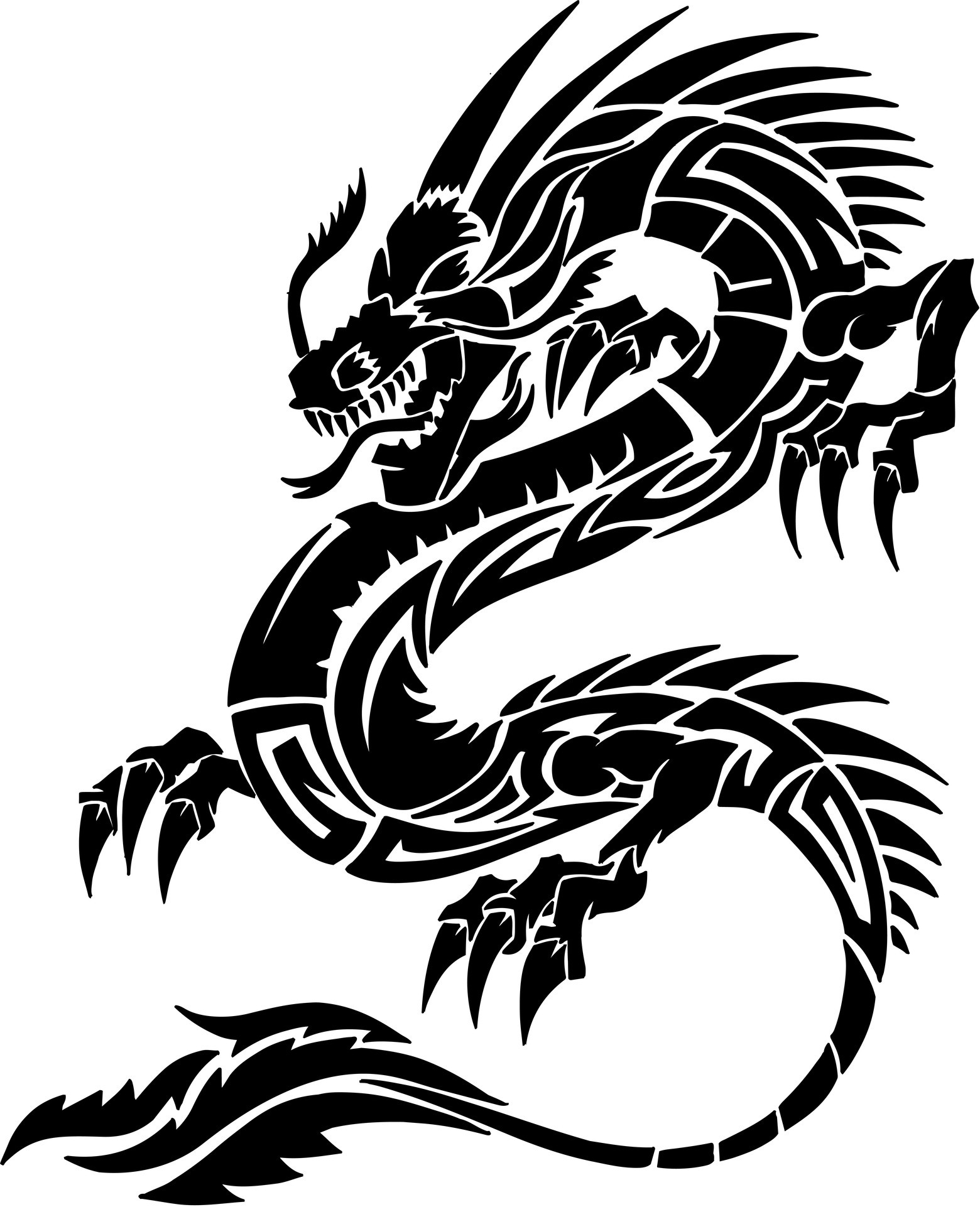 1560x1922 dragon tattoo wallpaper #906711