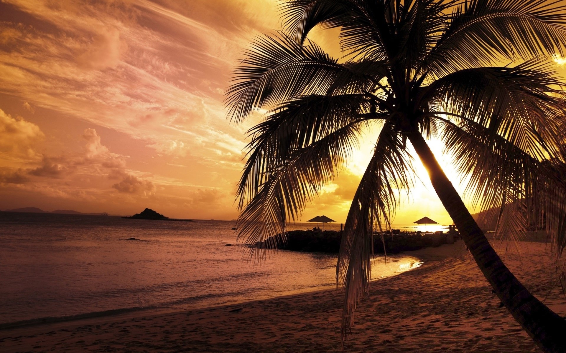 1920x1200 palm trees sunset hd wallpapers palm trees sunset hd wallpapers