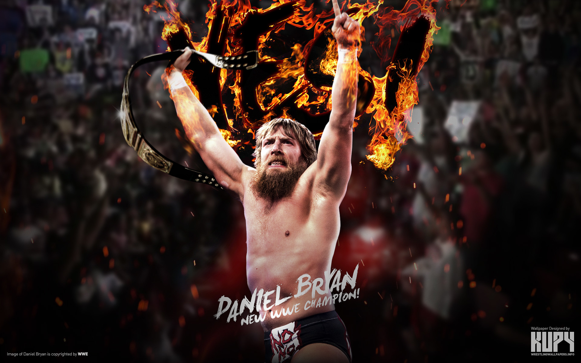 1920x1200 WWE Champion Daniel Bryan wallpaper 1920Ã1200 ...
