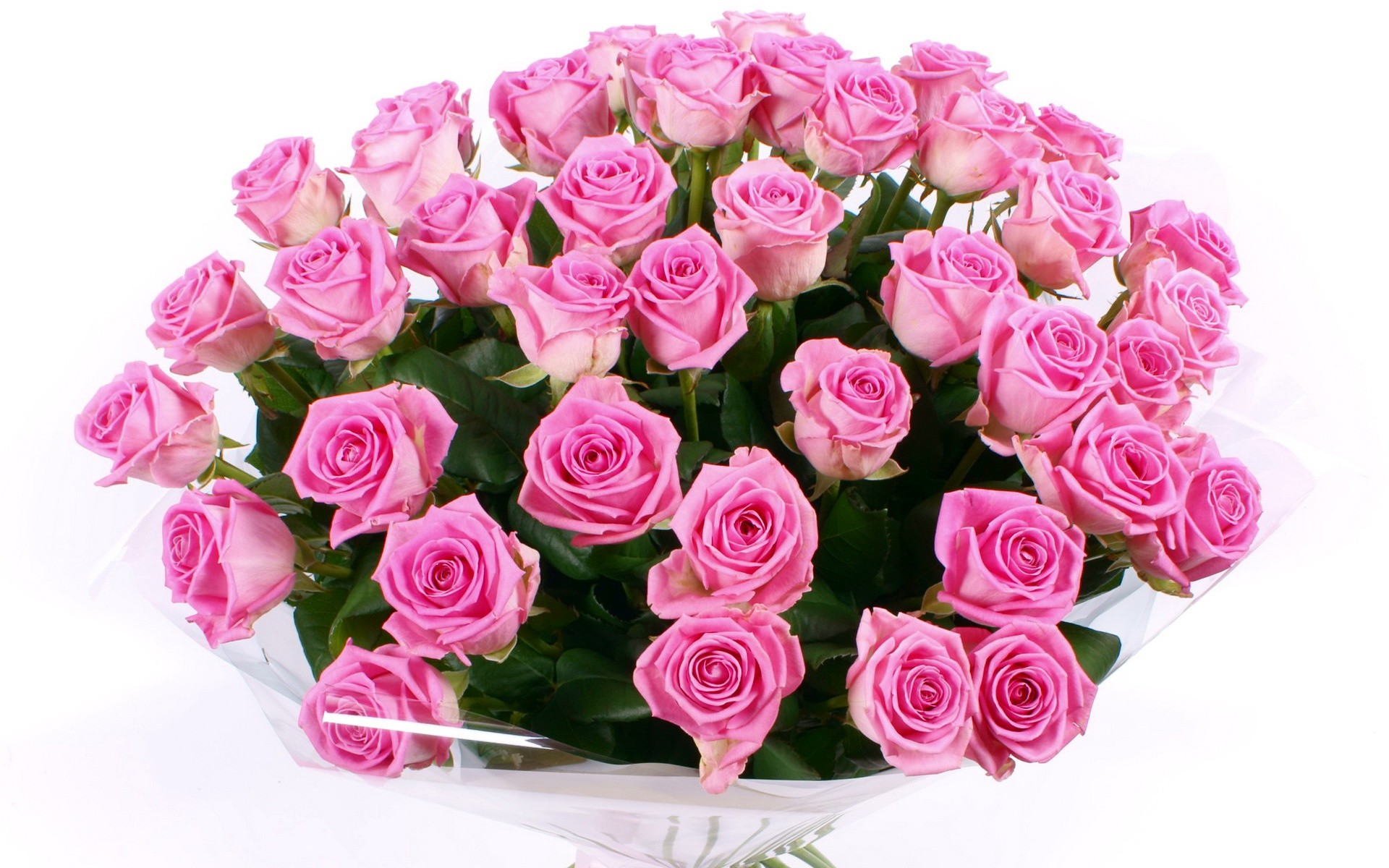 1920x1200 The language of love pink roses beautifull pink rose hd wallpapers.