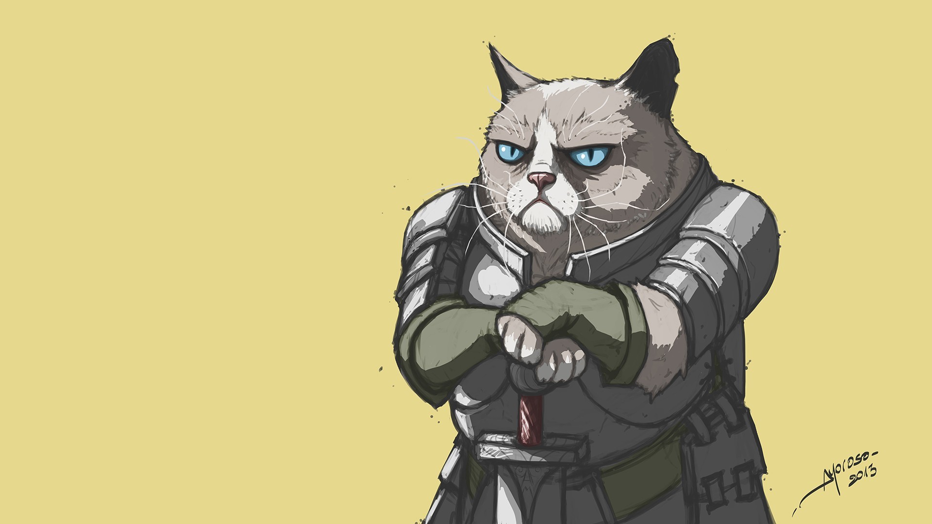 1920x1080 Grumpy Cat knight