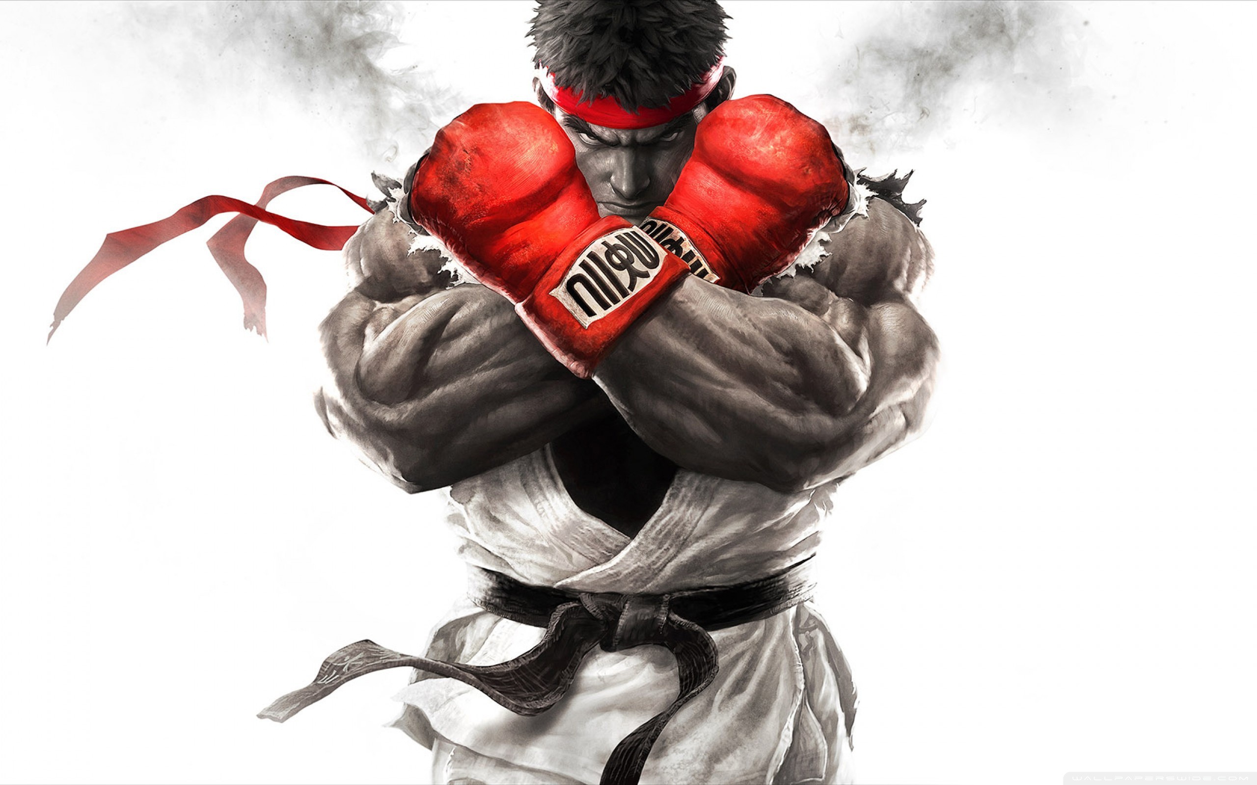 2560x1600 Street Fighter V 2015 HD Wide Wallpaper for Widescreen