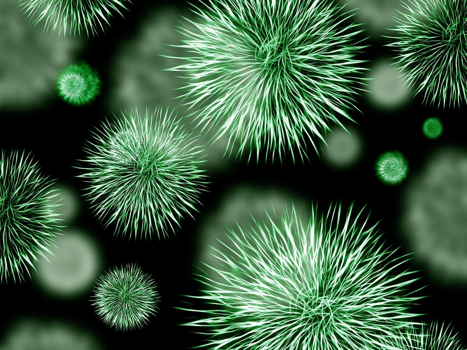 1920x1440 Exposure To Bacteria Is Healthy For Our Immune System, Keeping Autoimmune  Diseases At Bay