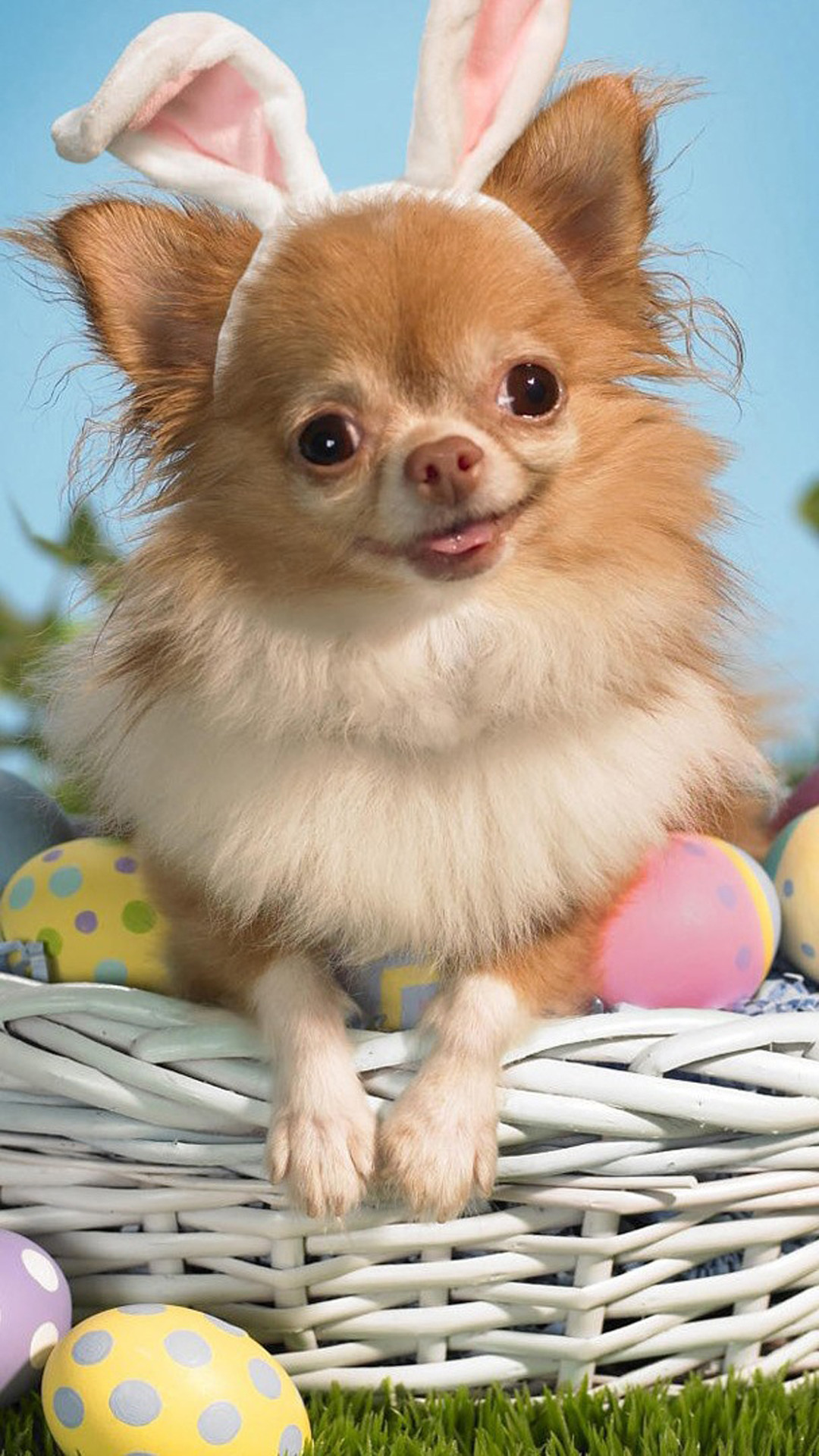 1080x1920 Easter Puppy Basket
