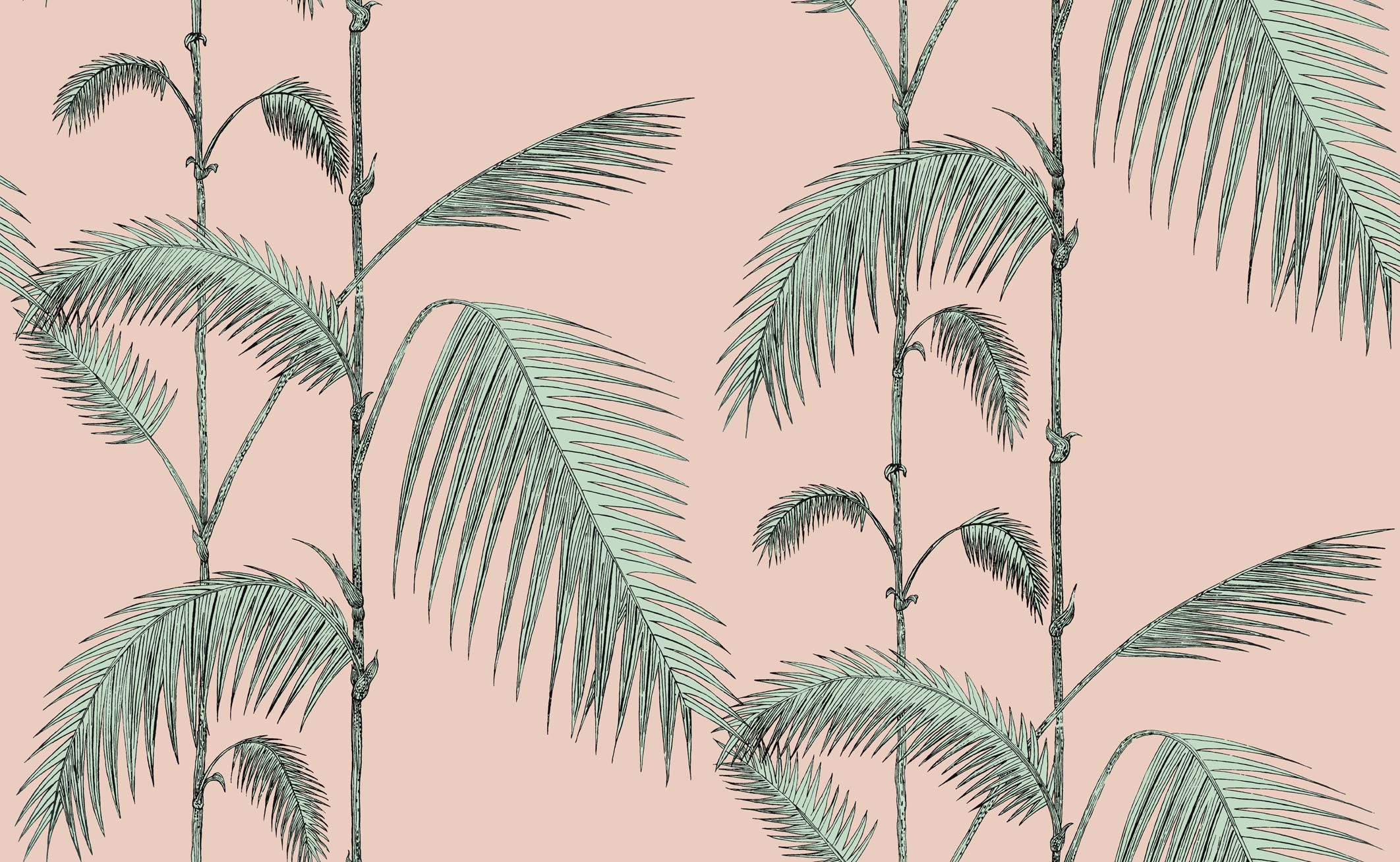 2124x1307 ... Palm Leaves Wallpaper - Mint on Pink ...