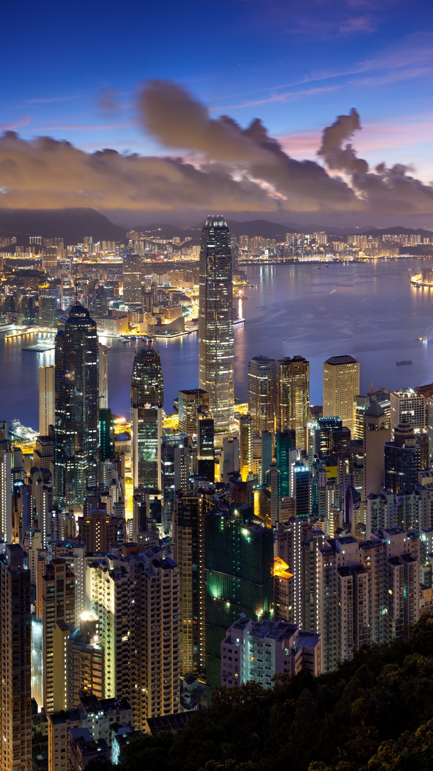 1440x2560 Preview wallpaper city, hong kong, night, clouds, lights 