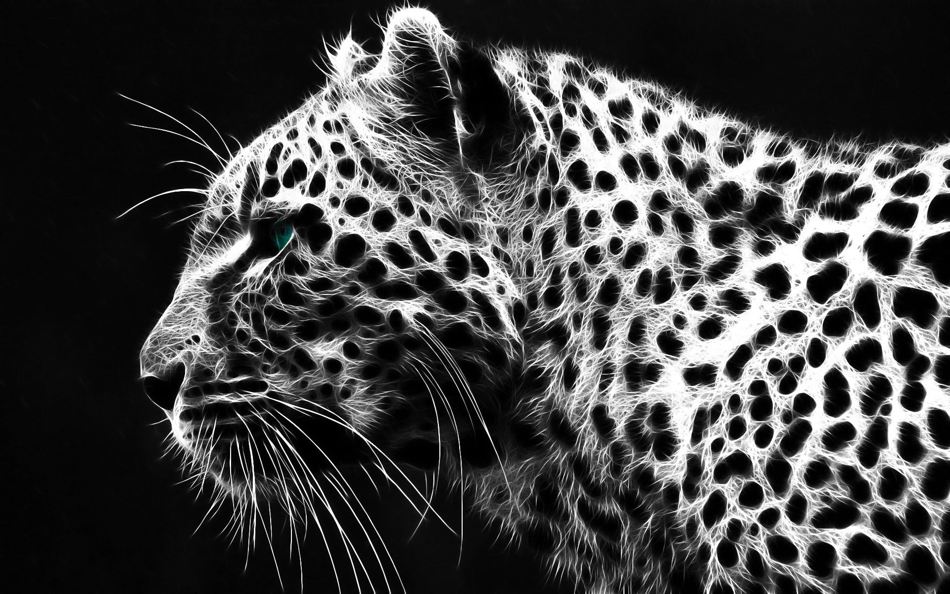 1920x1200 Animal - Leopard Wallpaper