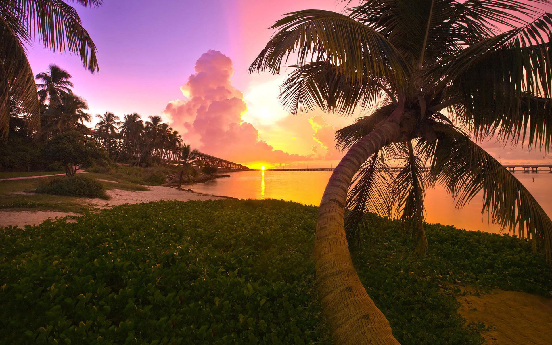 1920x1200 Sunset Tropical Beach Wallpapers Pictures Photos Images ...