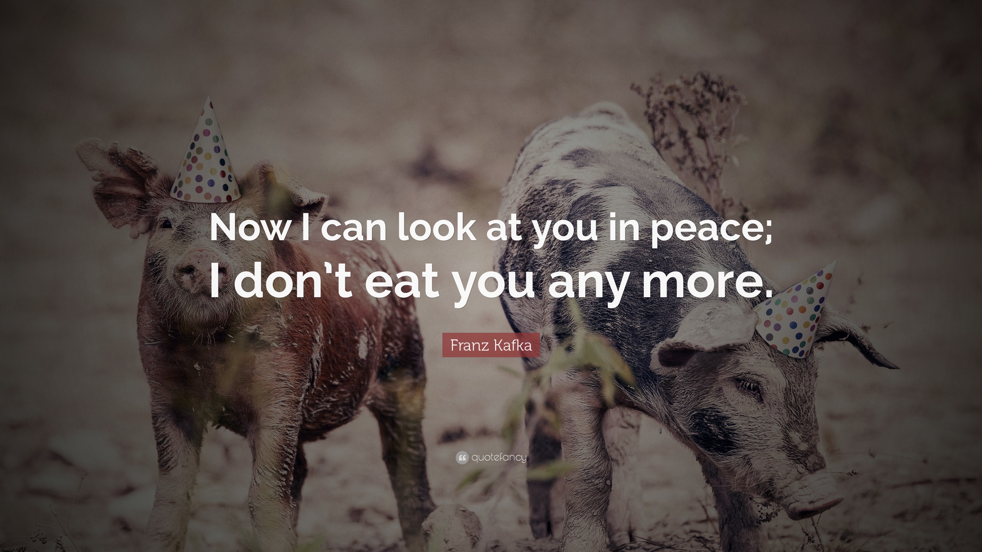 3840x2160 Quotes About Veganism: “Now I can look at you in peace; I don