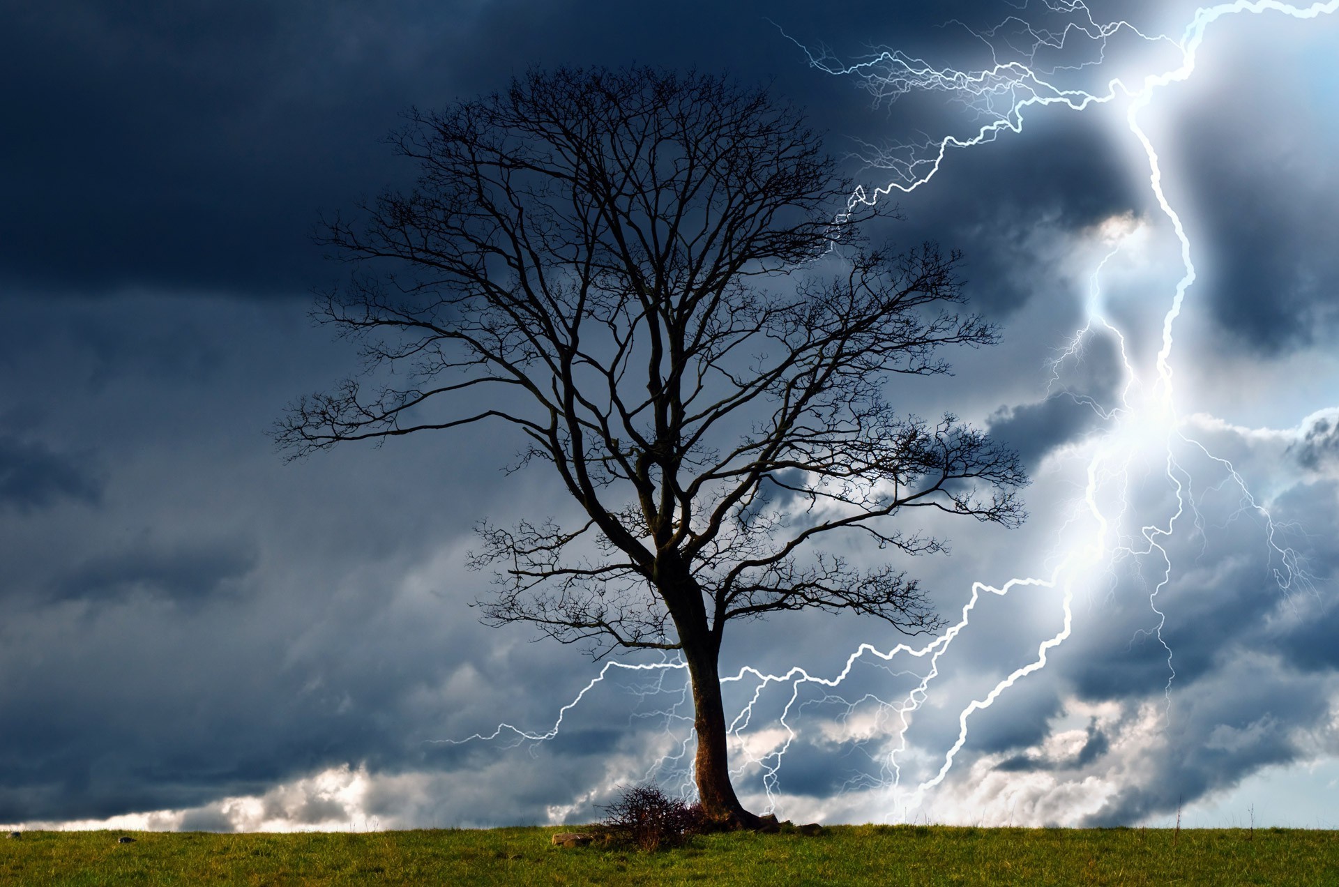 1920x1272 trees, Storm, Sky, Lightning, Rain, Nature, Dangerous, Wind, Wet, Elements,  Landscape Wallpapers HD / Desktop and Mobile Backgrounds