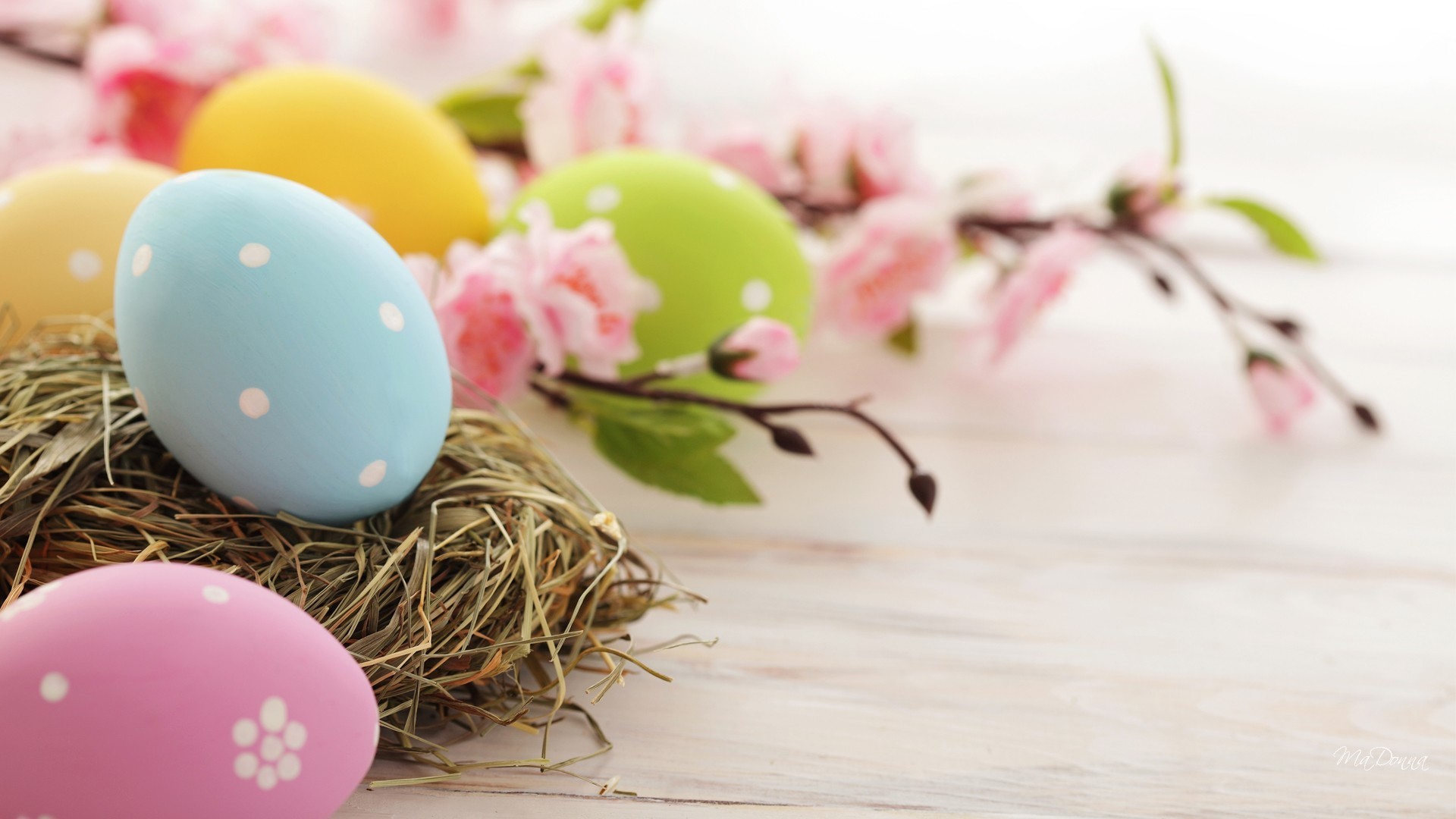 1920x1080  Top Collection of Easter Wallpapers: 159961866 Easter Background   px