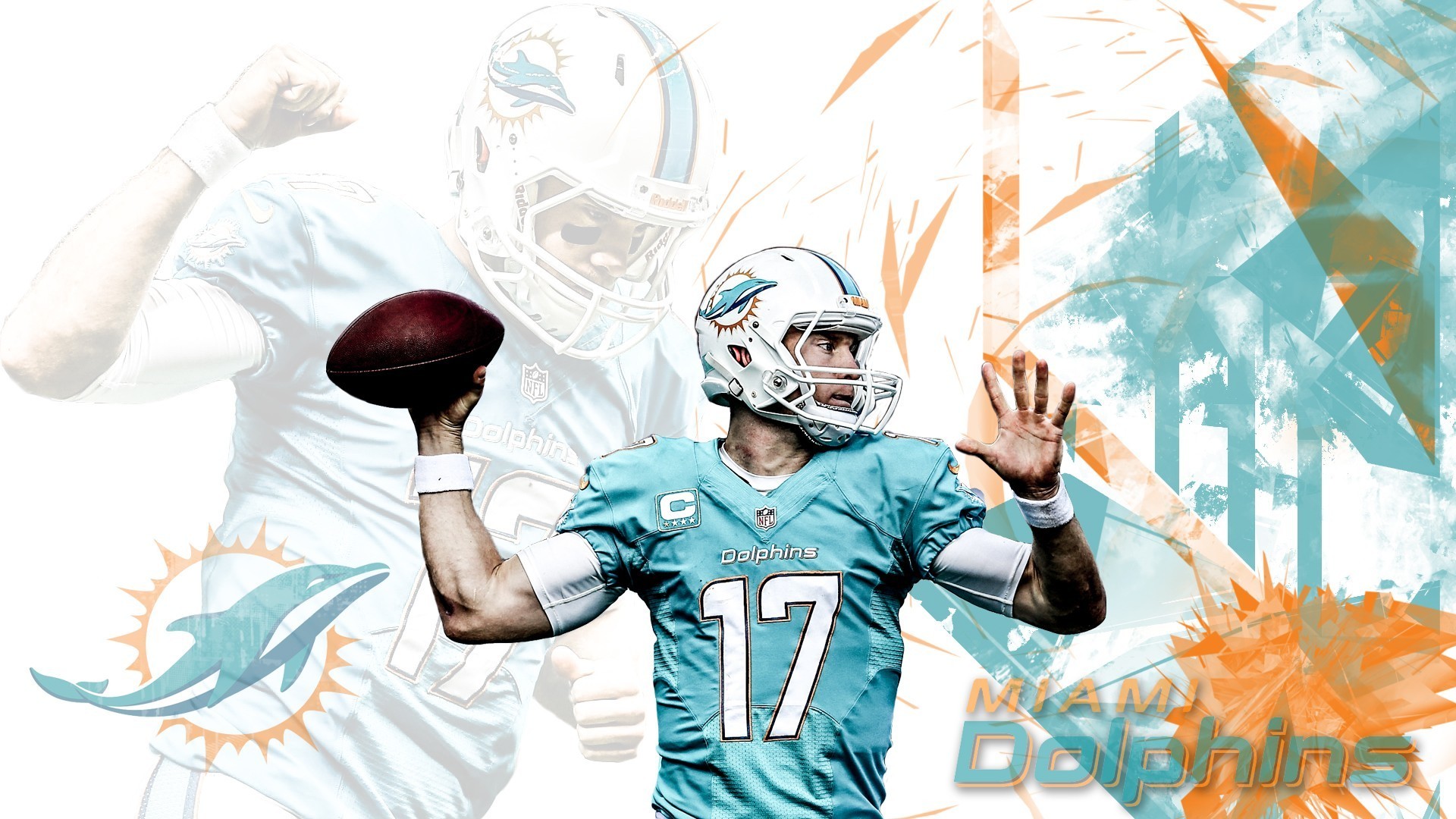 Miami Dolphins Wallpapers  Top 26 Best Miami Dolphins Wallpapers  HQ 