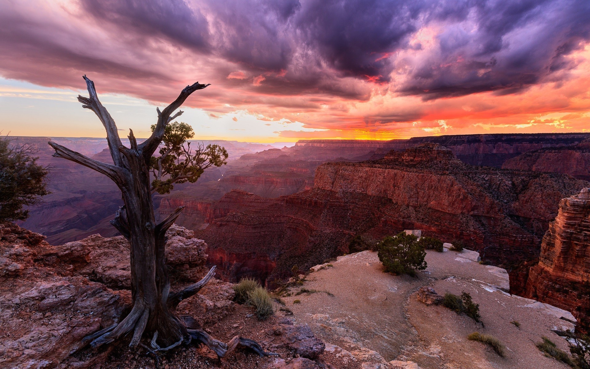 1920x1200 nature, Landscape, Sunset, Canyon, Clouds, Trees, Grand Canyon, USA,  Arizona, Dead Trees Wallpapers HD / Desktop and Mobile Backgrounds