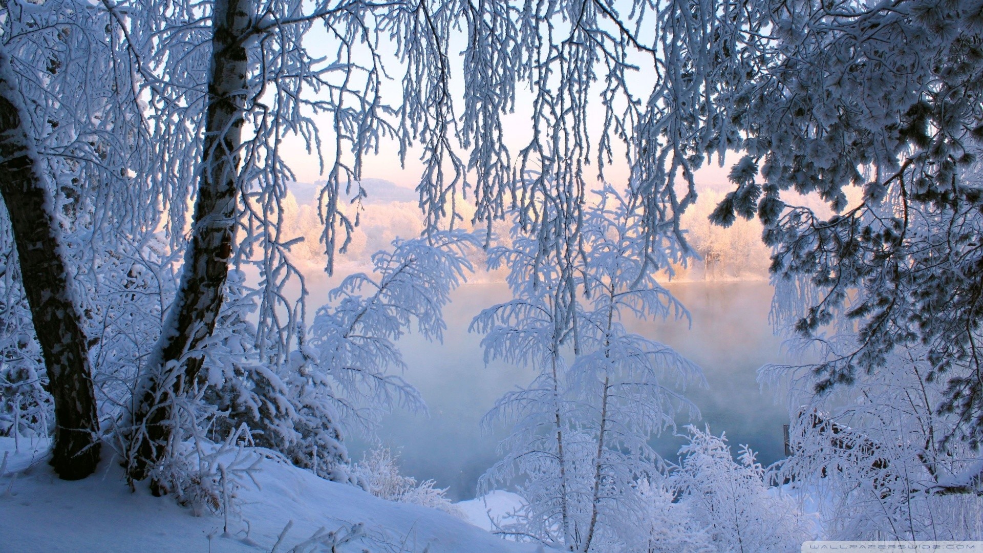 1920x1080 Beautiful Winter Frost Wallpaper  Beautiful Winter Frost 