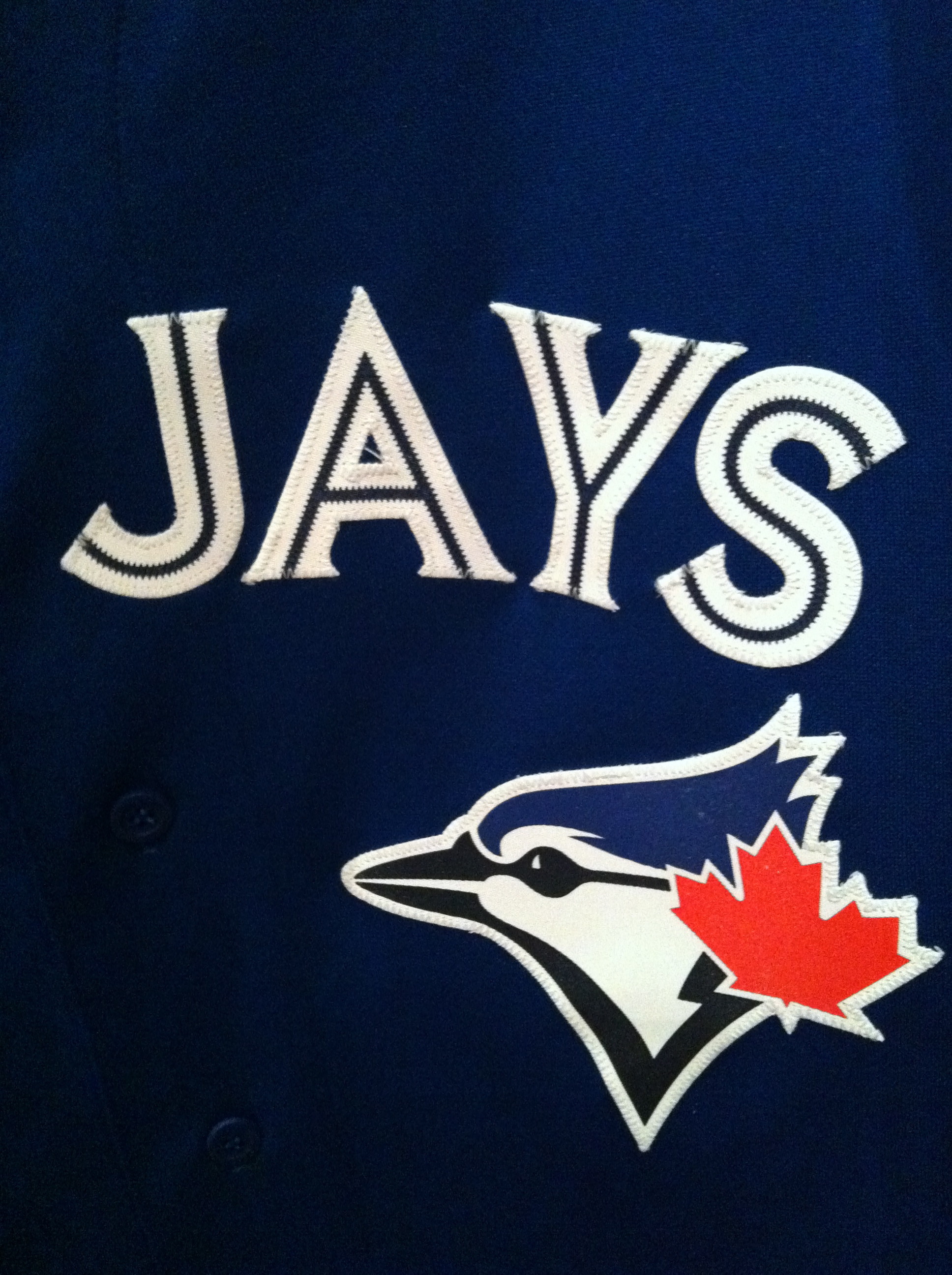 1936x2592 Toronto Blue Jays MLB Premium Quality Team License Plate | MLB License  Plates | Pinterest | License plates, Toronto and MLB