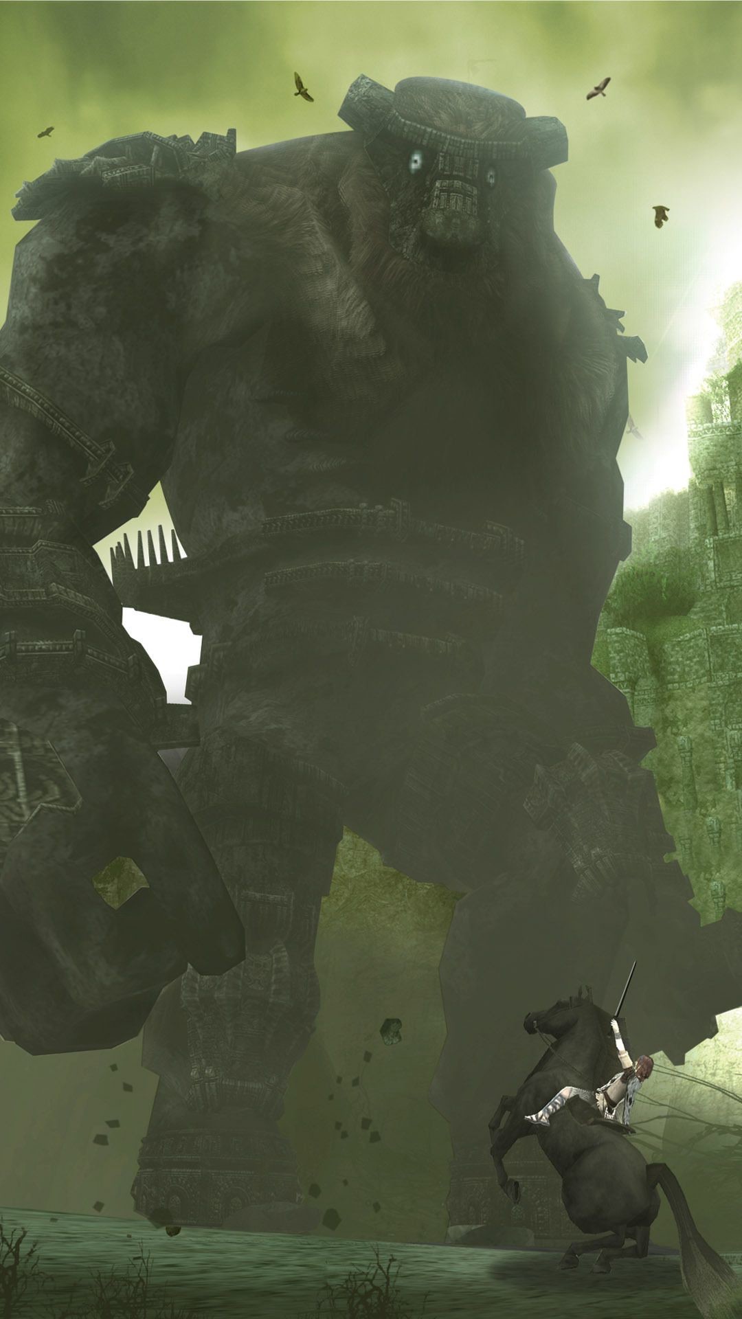 1080x1920 Shadow Colossus Picture