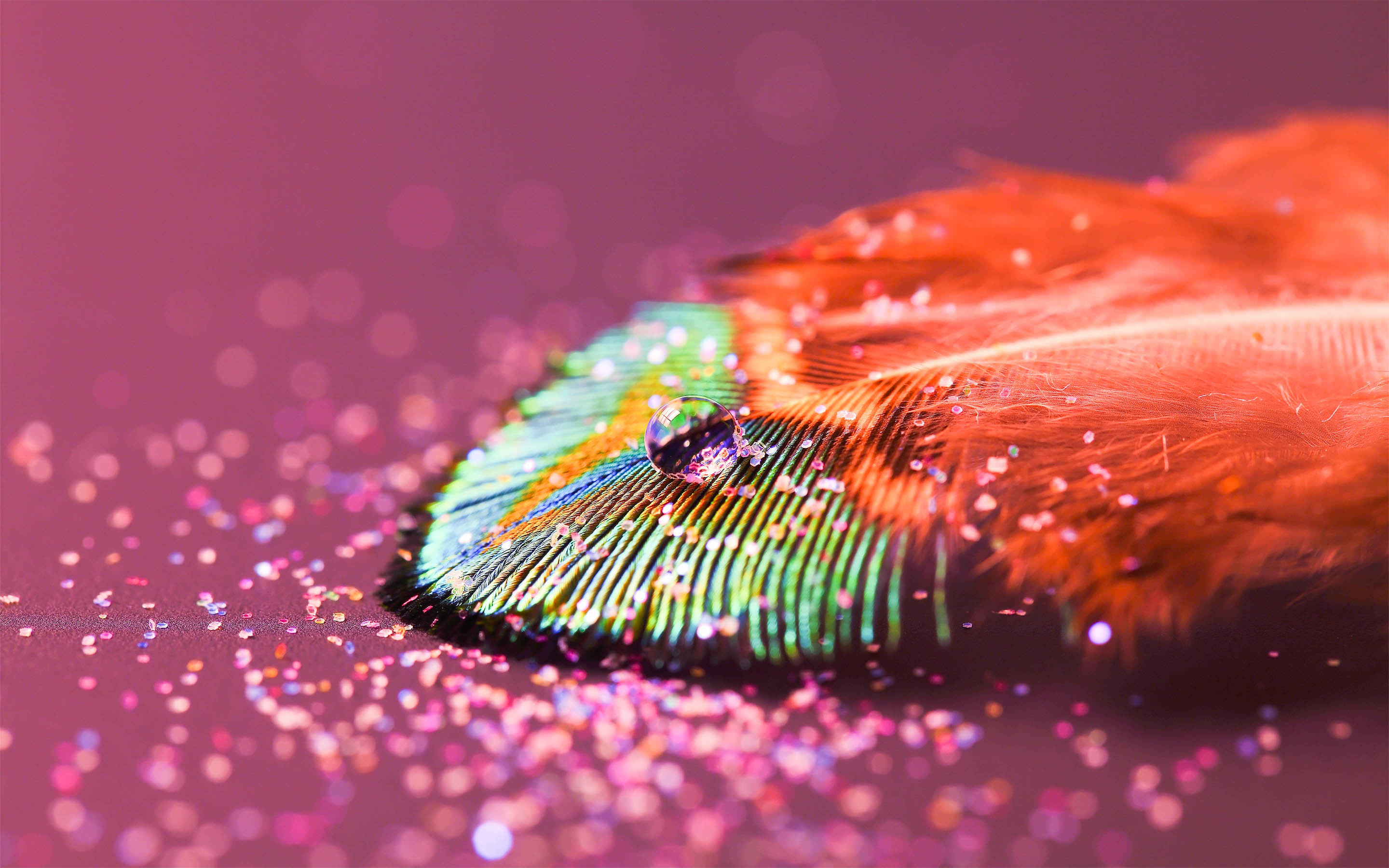 2880x1800 ... Feather (4)