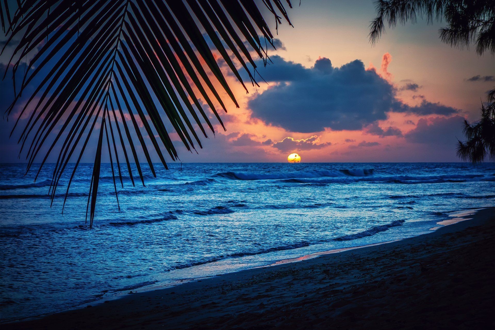 1920x1280  barbados caribbean night beach sunset sun palm sheet silhouette  HD .