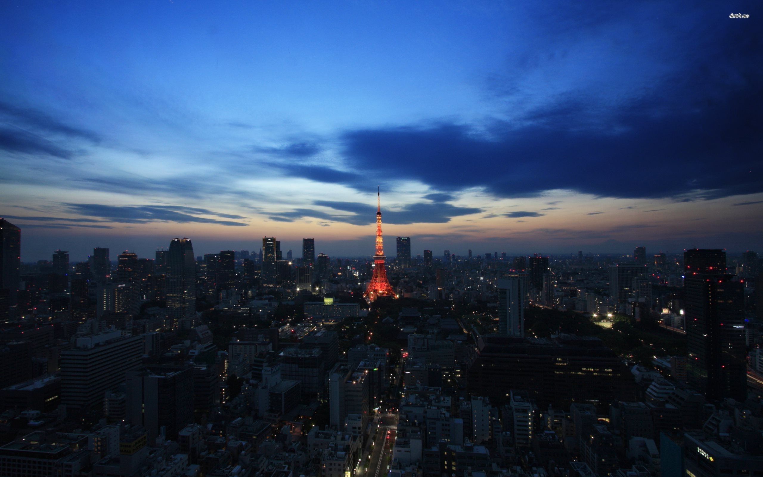 2560x1600 ... Tokyo Tower guarding Tokyo at night wallpaper  ...