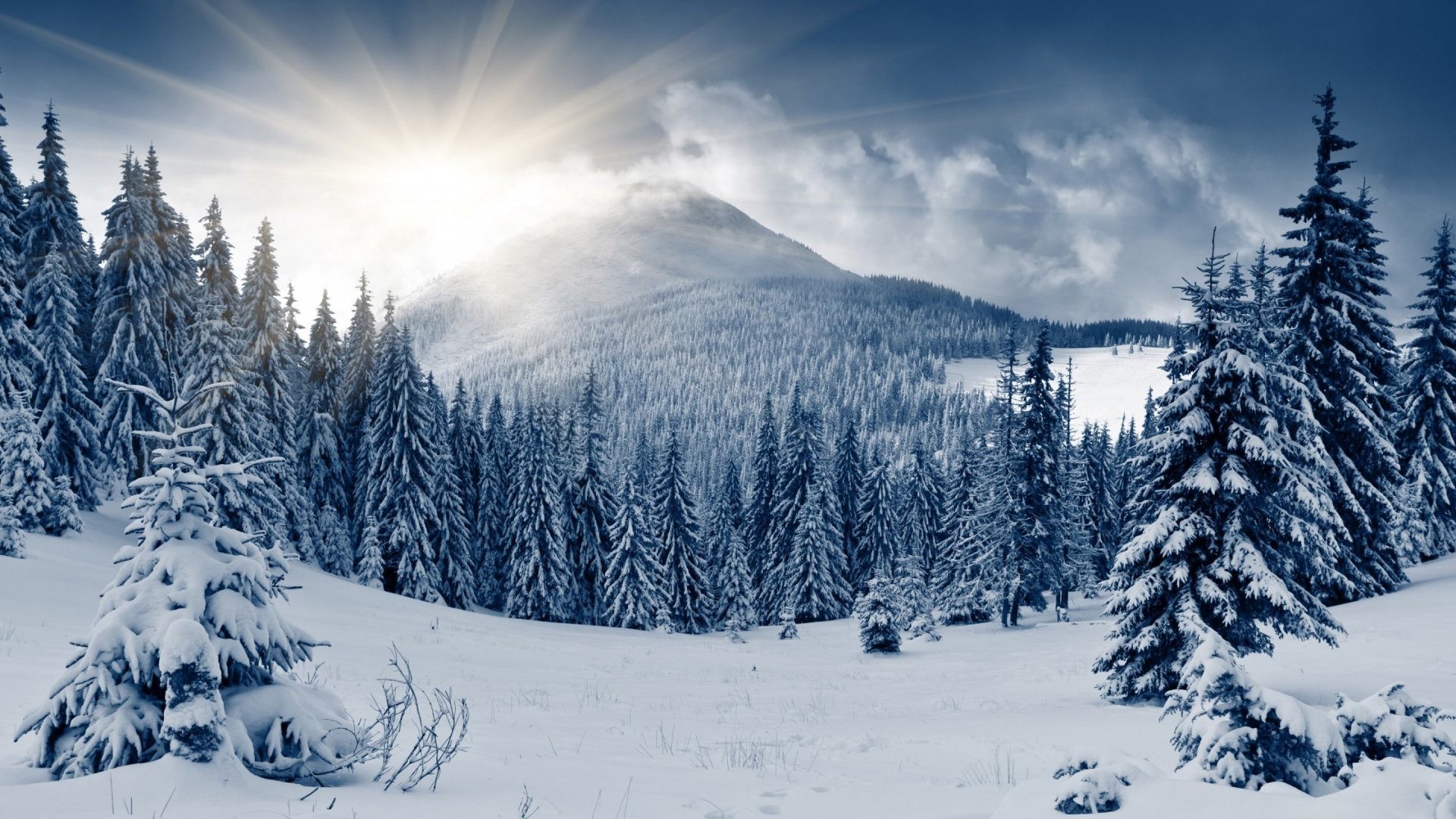 1920x1080 Snow Tag - Landscape Nature Snow Winter Desktop Backgrounds Free for HD  16:9 High