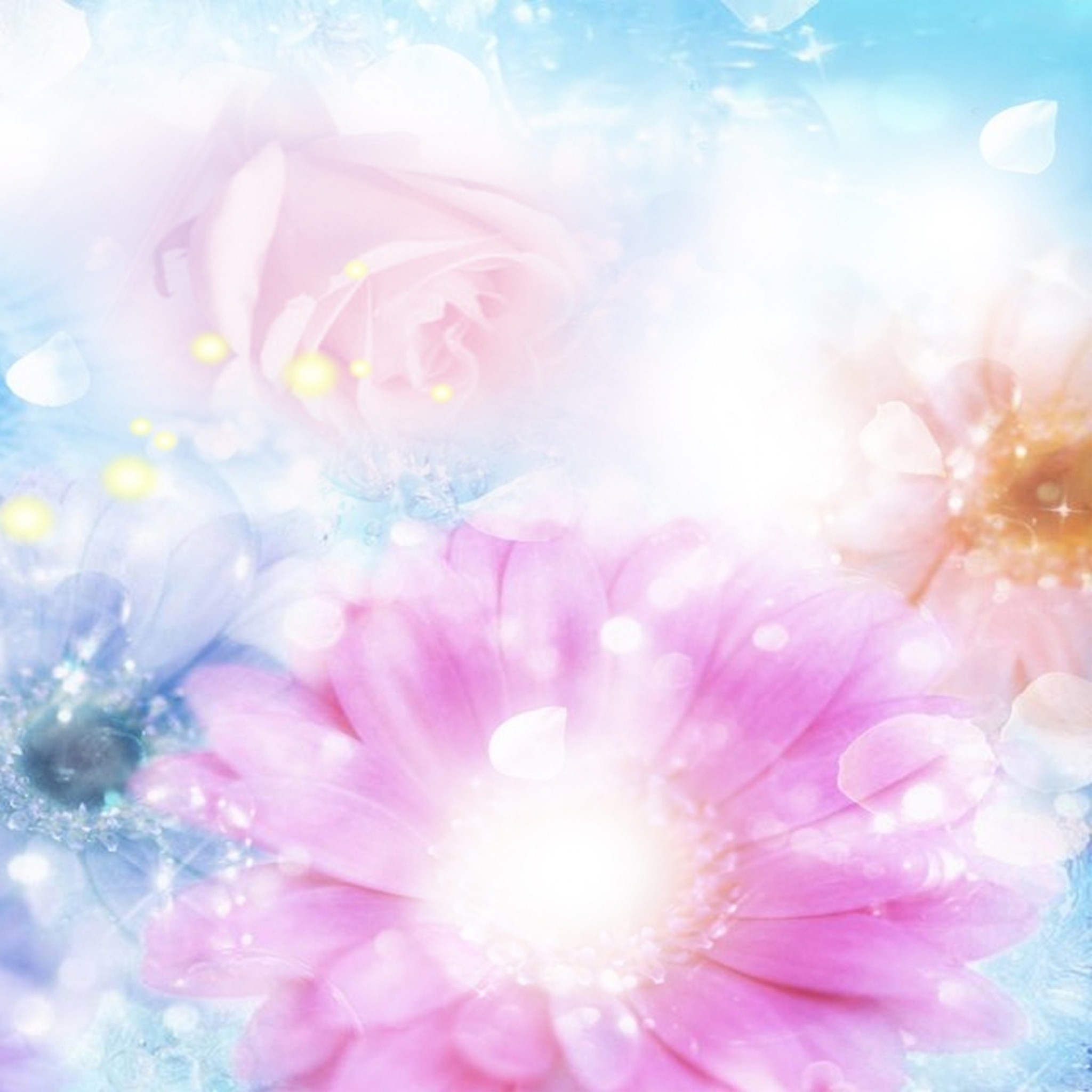 2048x2048 Preview wallpaper pink, blue, flowers, blurred, background, effects  