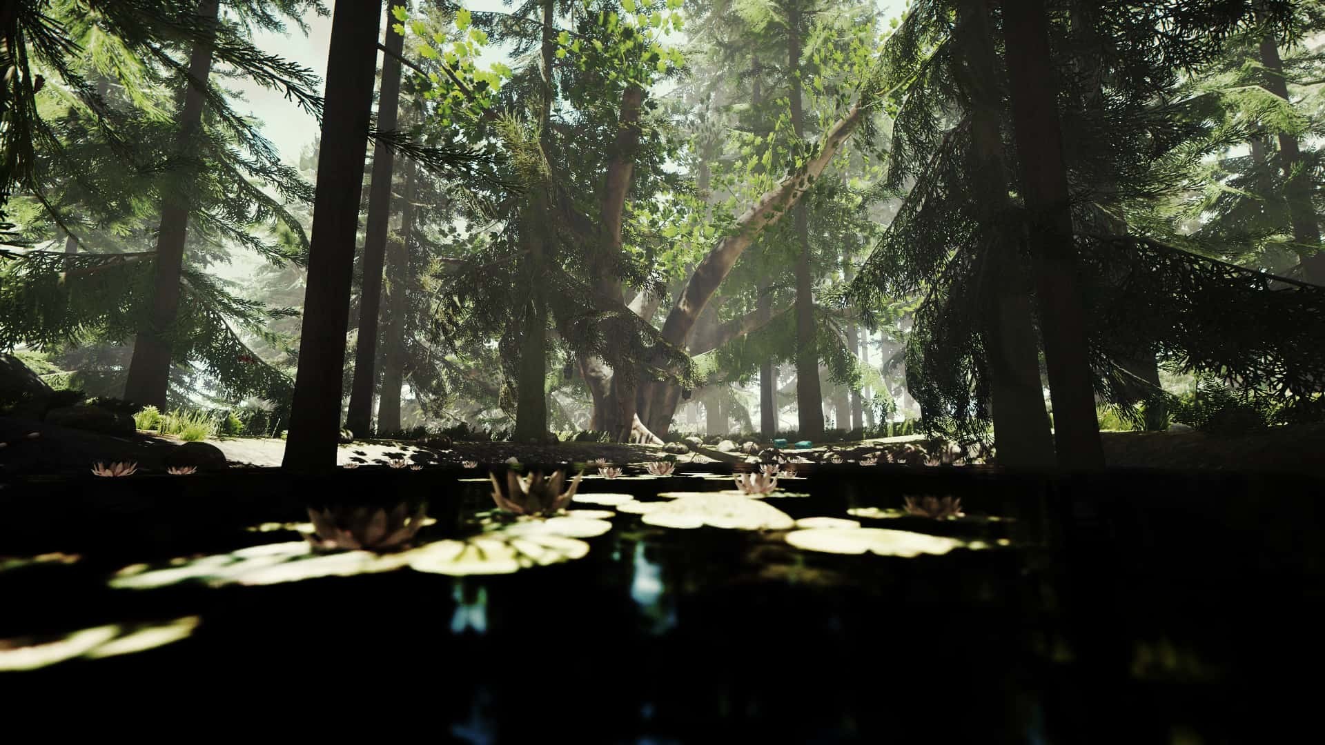 1920x1080 The Forest Wallpaper 7