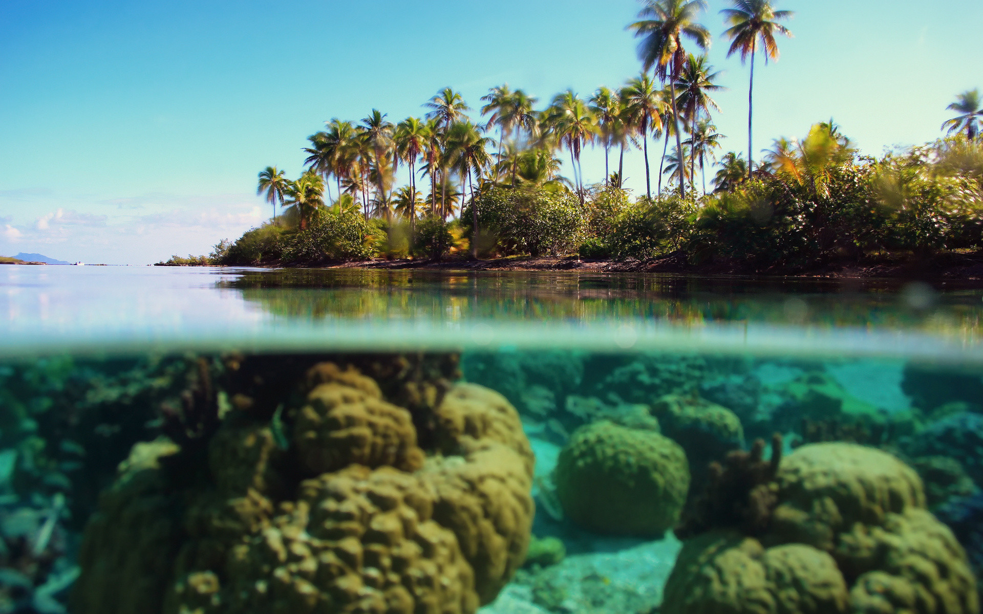 1920x1200 Wallpaper underwater ocean palm island reef desktop wallpaper 