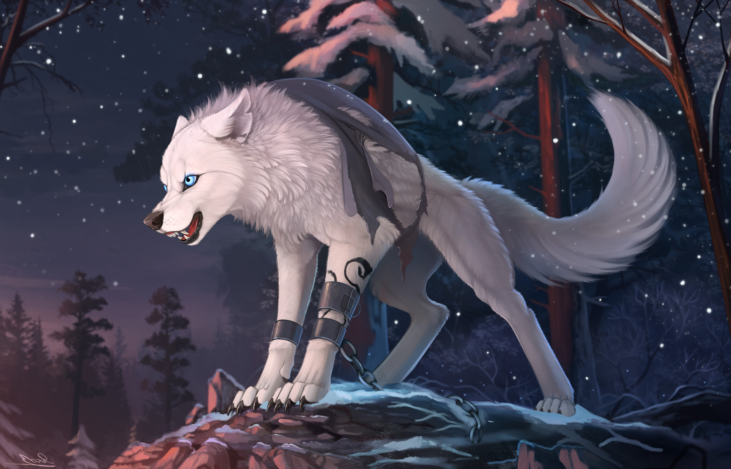 2460x1580 furry wolf wallpaper