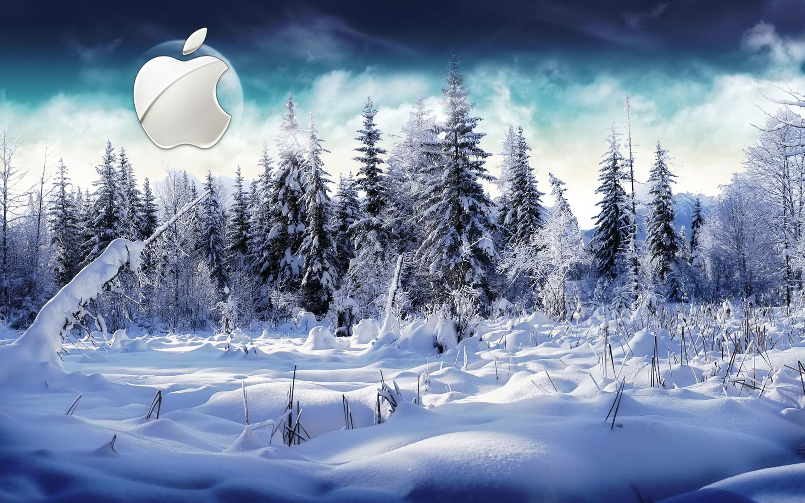 2560x1600 Desktop Wallpaper Â· Gallery Â· Computers Â· Winter Apple Mac .