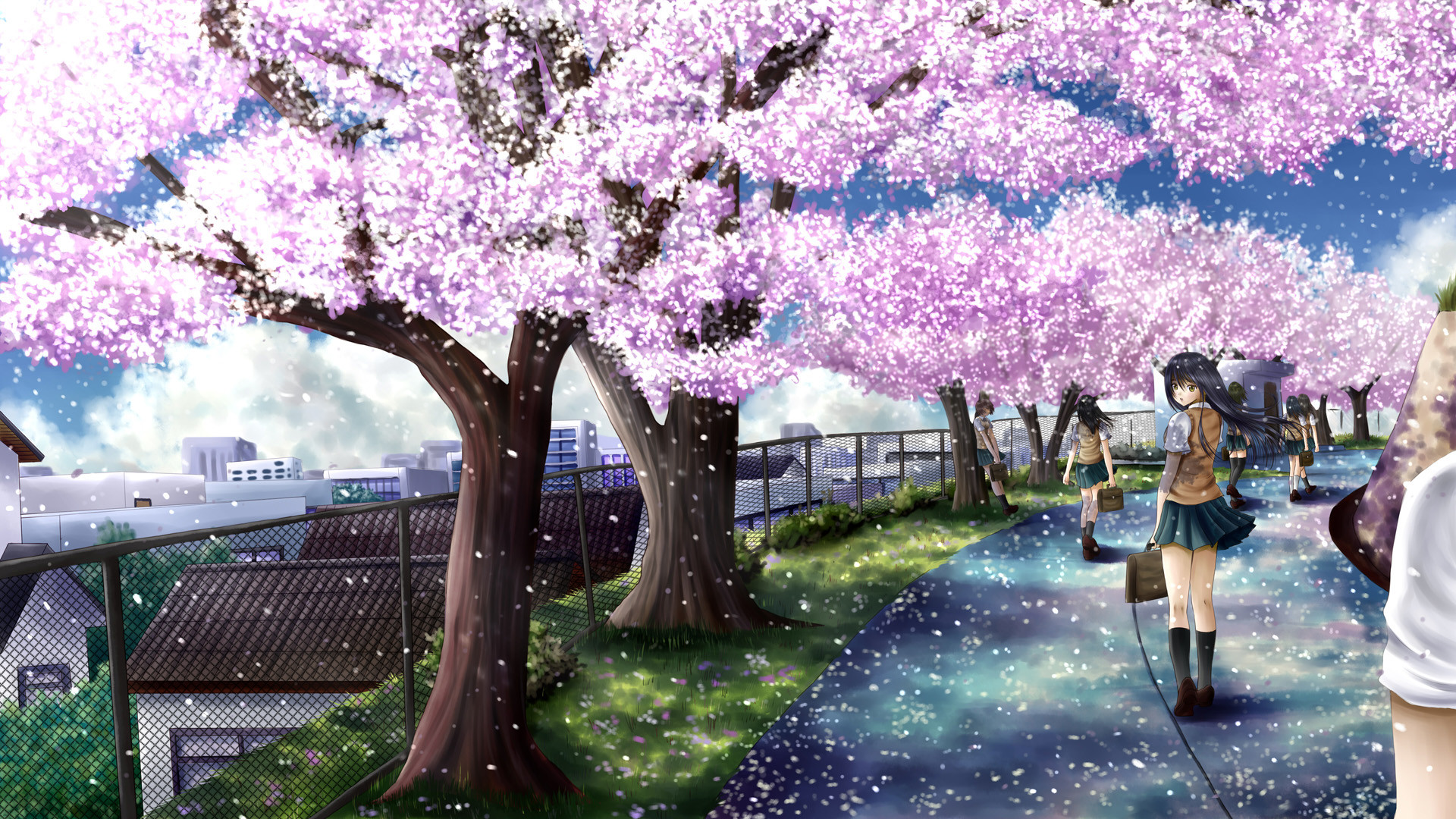 1920x1080 cherry blossoms, ilolamai, seifuku.jpg (1920Ã1080) | 1ã¢ãã¡å£ç´ | Pinterest | Cherry  blossoms, Anime art and Digital art