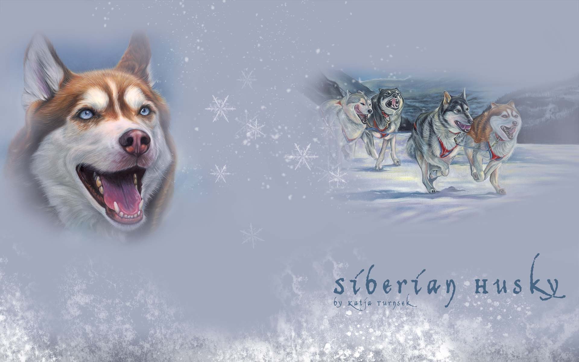 1920x1200 Tiere - Siberian Husky KÃ¼nstlerisch Hund Schlittenhund Siberian Tiere  Wallpaper