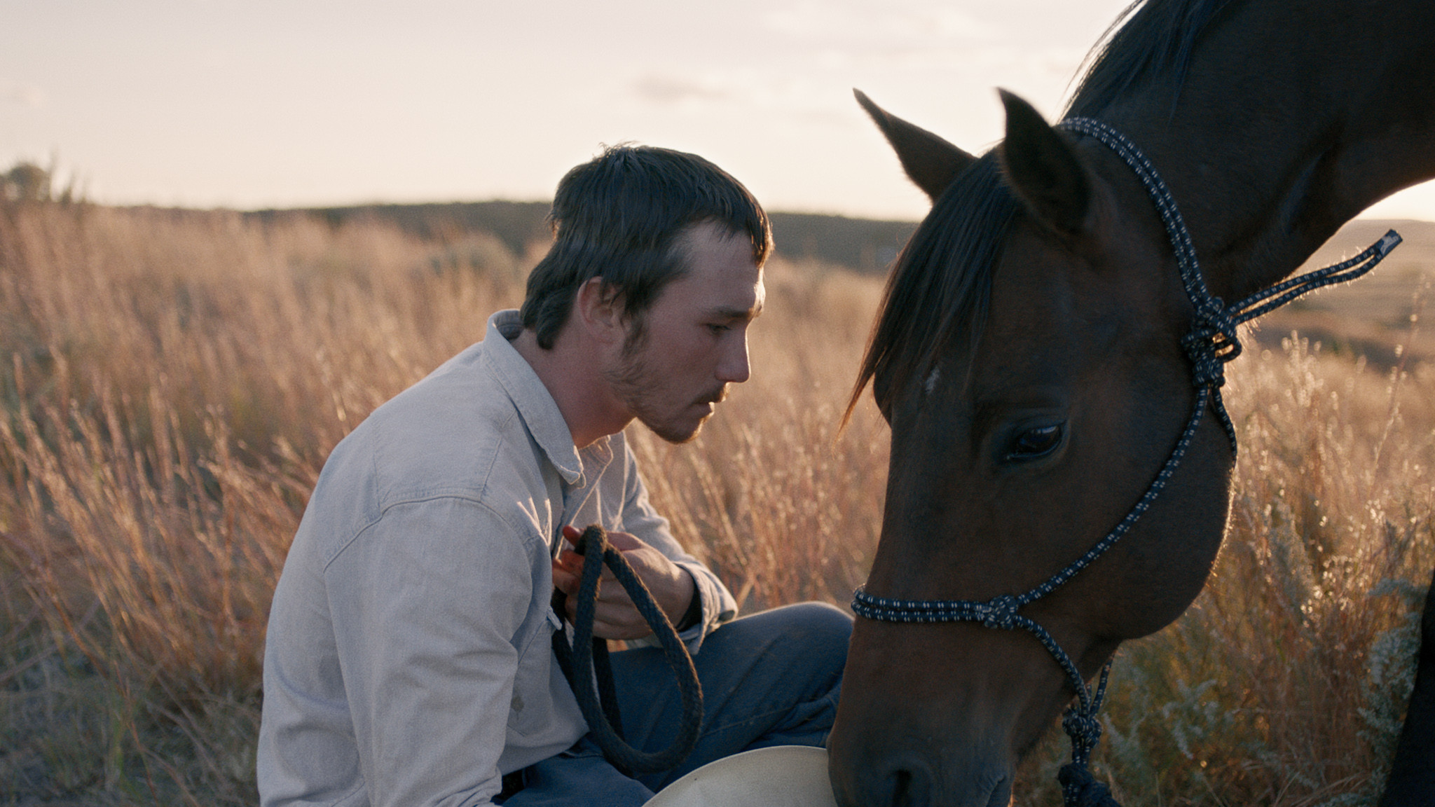 2048x1152 Wild Horses: How 'The Rider' Became the Breakout Movie of 2018