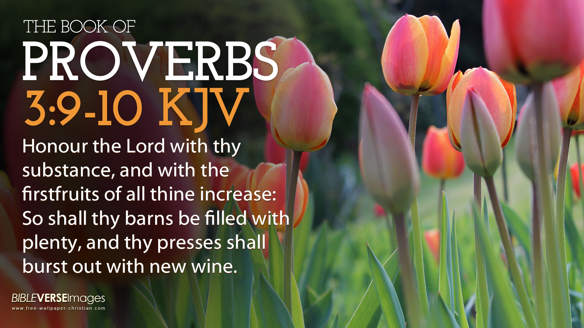 1920x1080 Scriptures-KJV-King-James-Version-Bible-Verse-Proverbs-