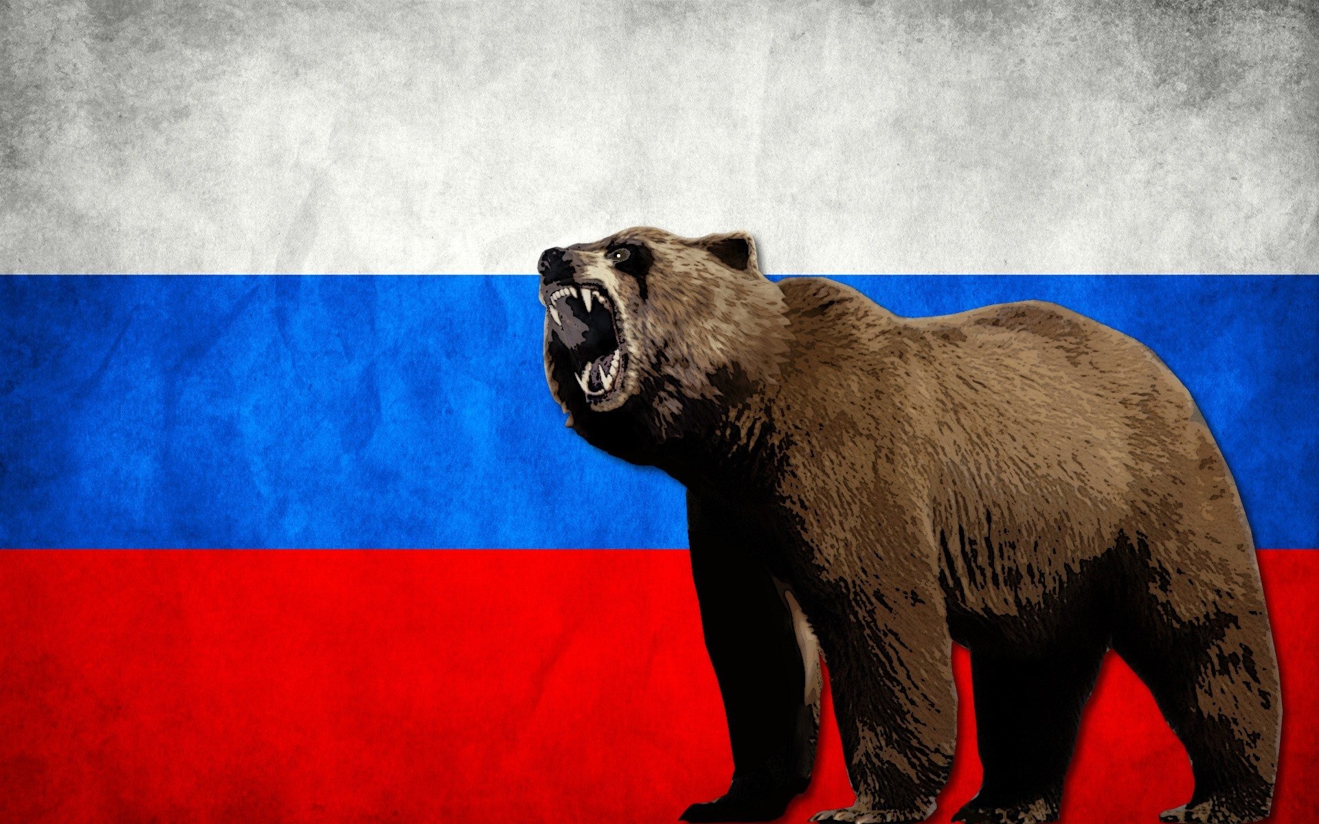 1920x1200 bears, Flag, Russia, Russian Wallpapers HD / Desktop and Mobile Backgrounds
