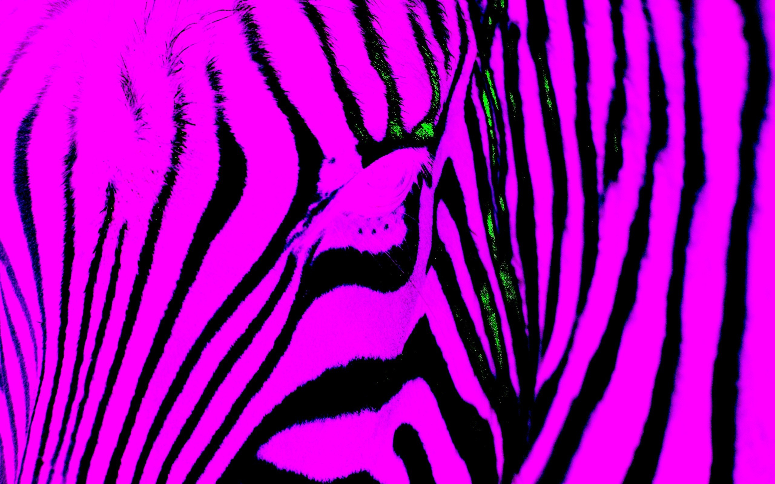 2560x1600 Zebra Peace Sign Backgrounds Zebra Print Peace Sign