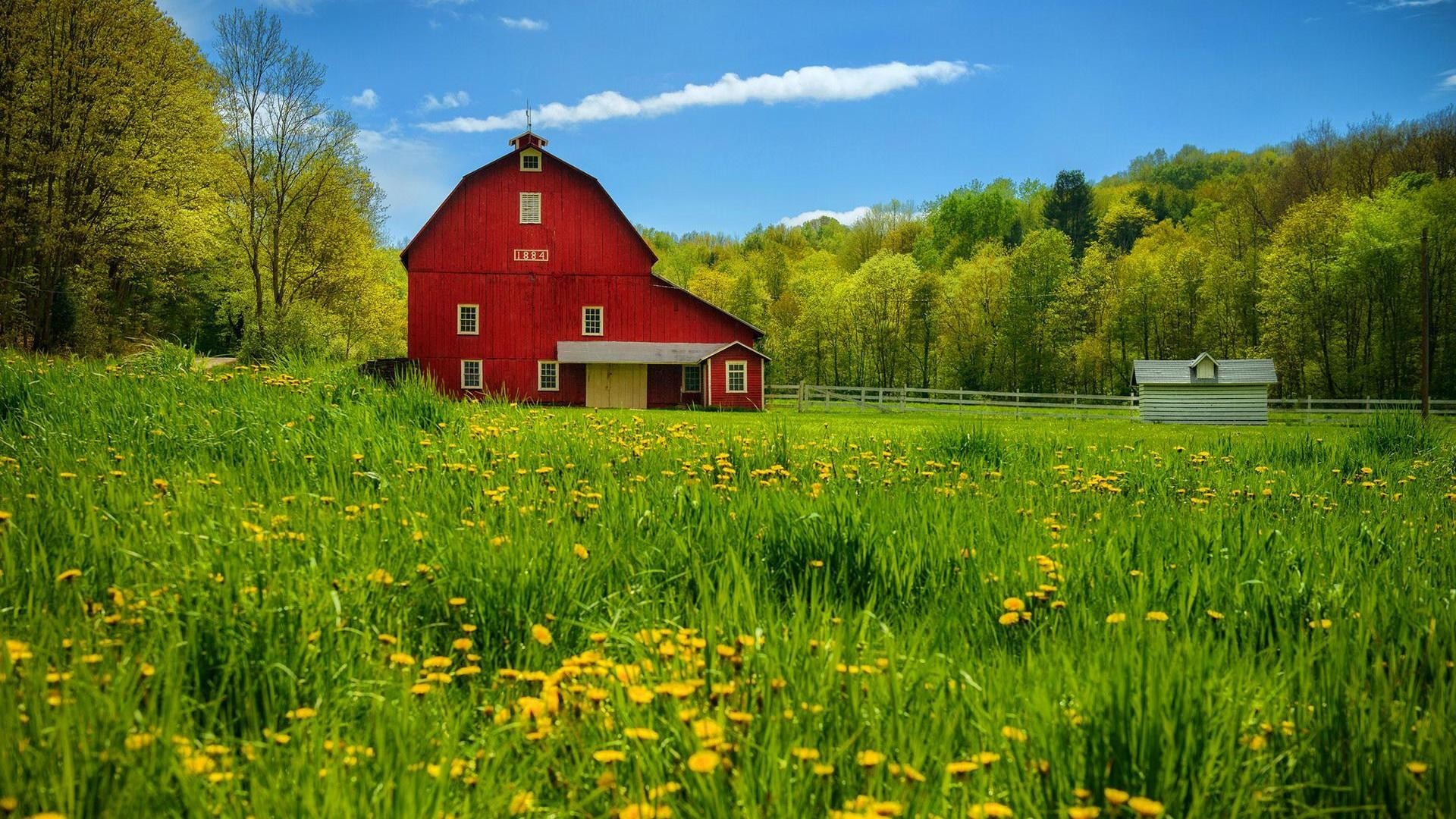 1920x1080 Old Red Barn Beautiful Summer Day Countryside Flowers Field Wallpaper  Pictures HD Detail