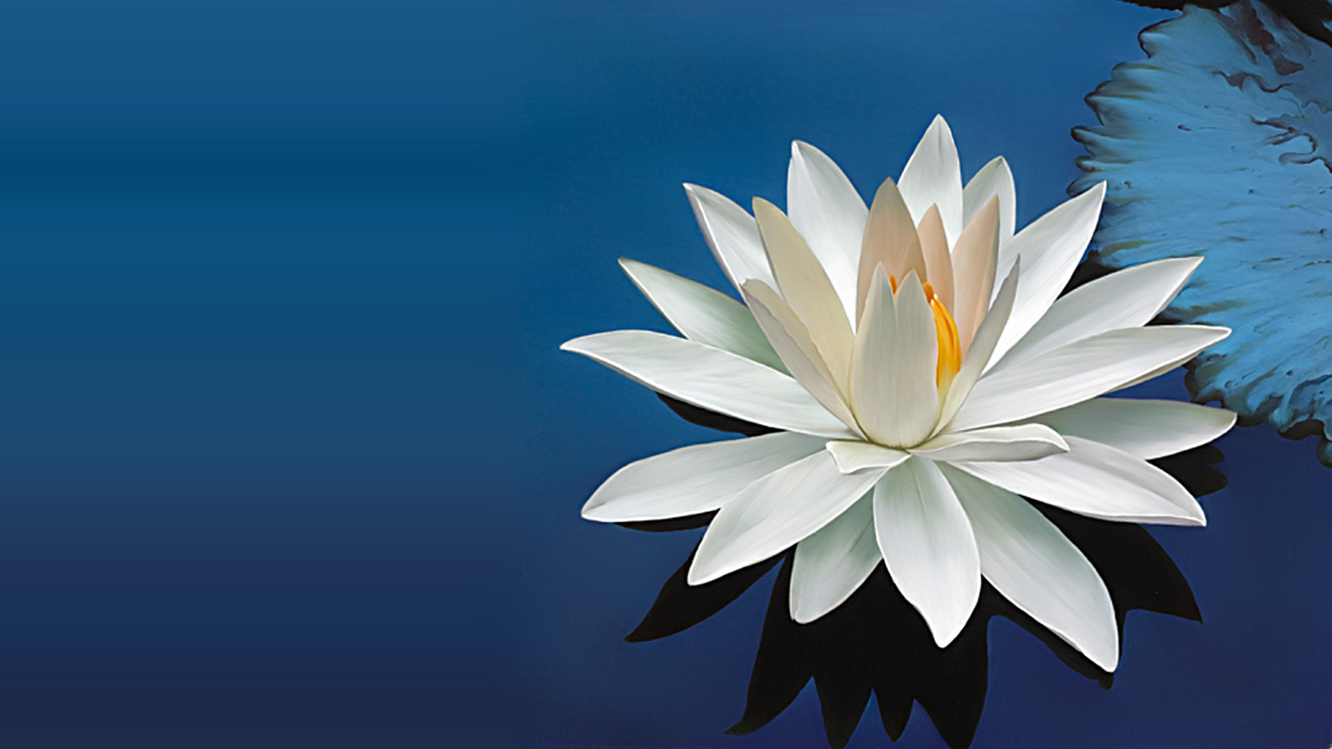 Lotus Wallpapers 4K Lock Screen Pro APK for Android Download