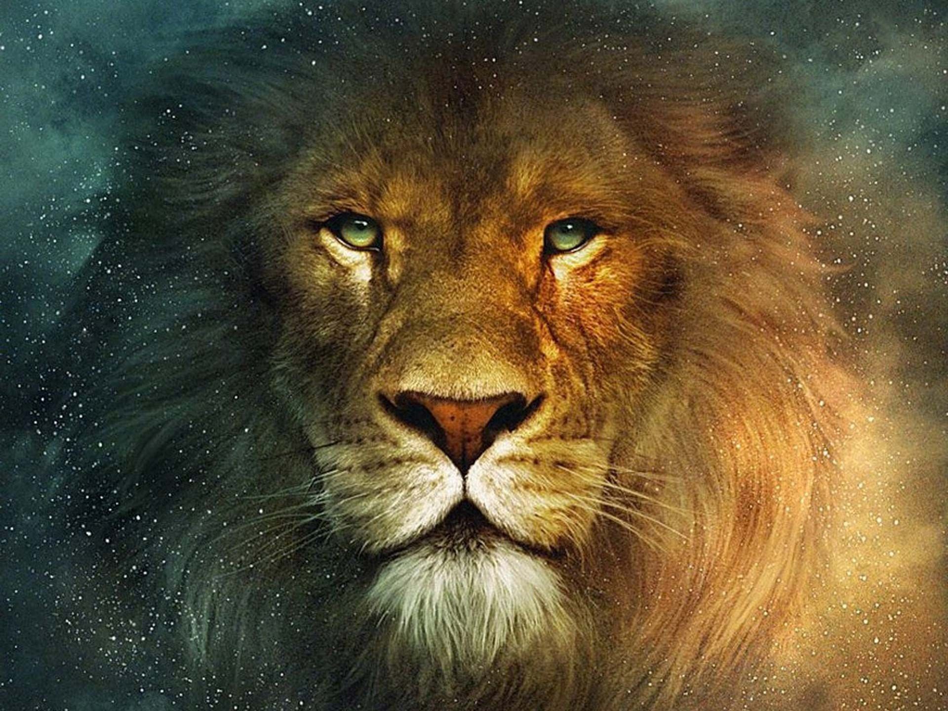 1920x1440 1920x1200 13 The Chronicles of Narnia: The Lion, the Witch and the Wardrobe  HD Wallpapers | Background Images - Wallpaper Abyss