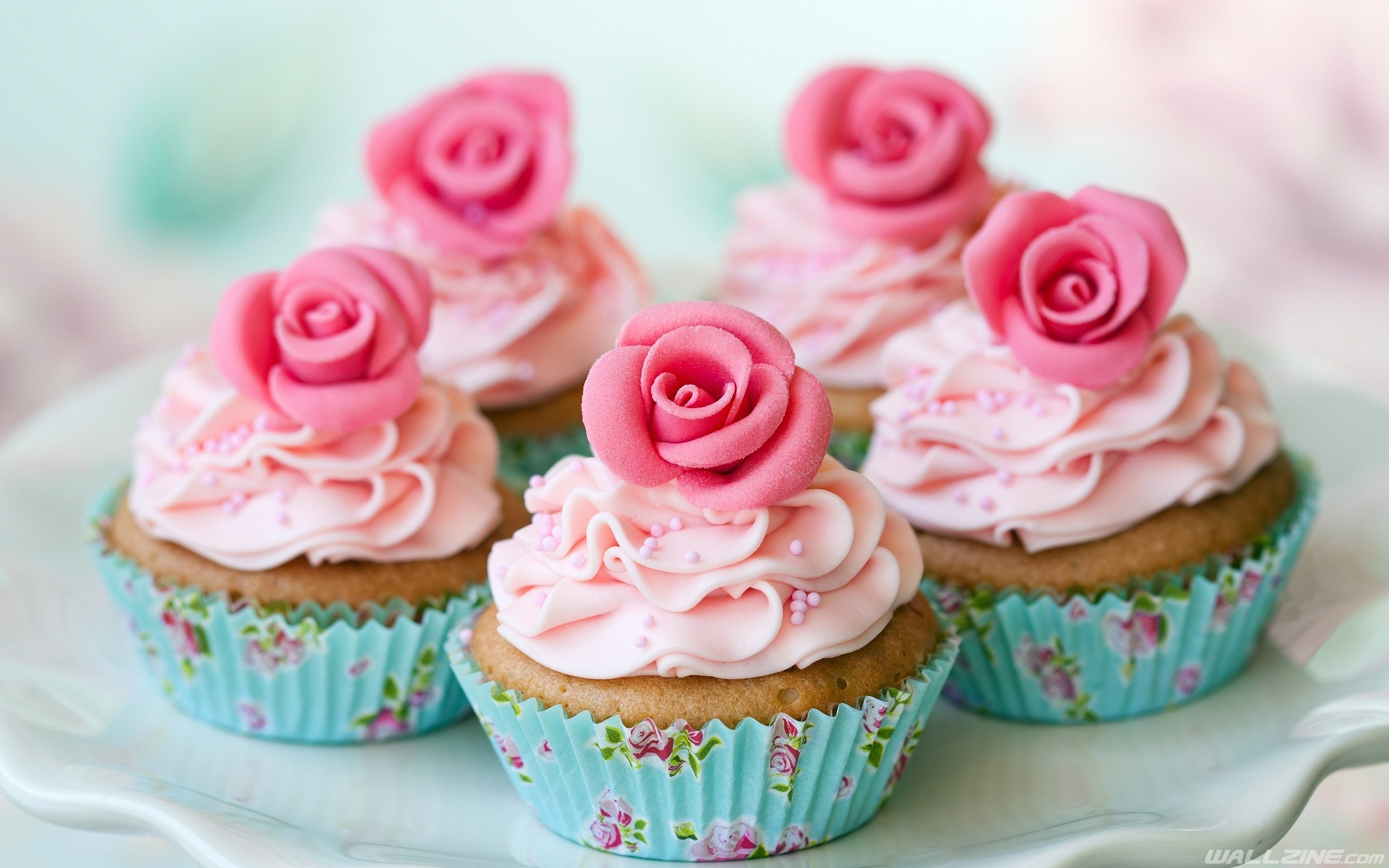 2560x1600 Explore Pink Cupcakes, Pretty Cupcakes, and more! Vintage Cupcakes Wallpaper