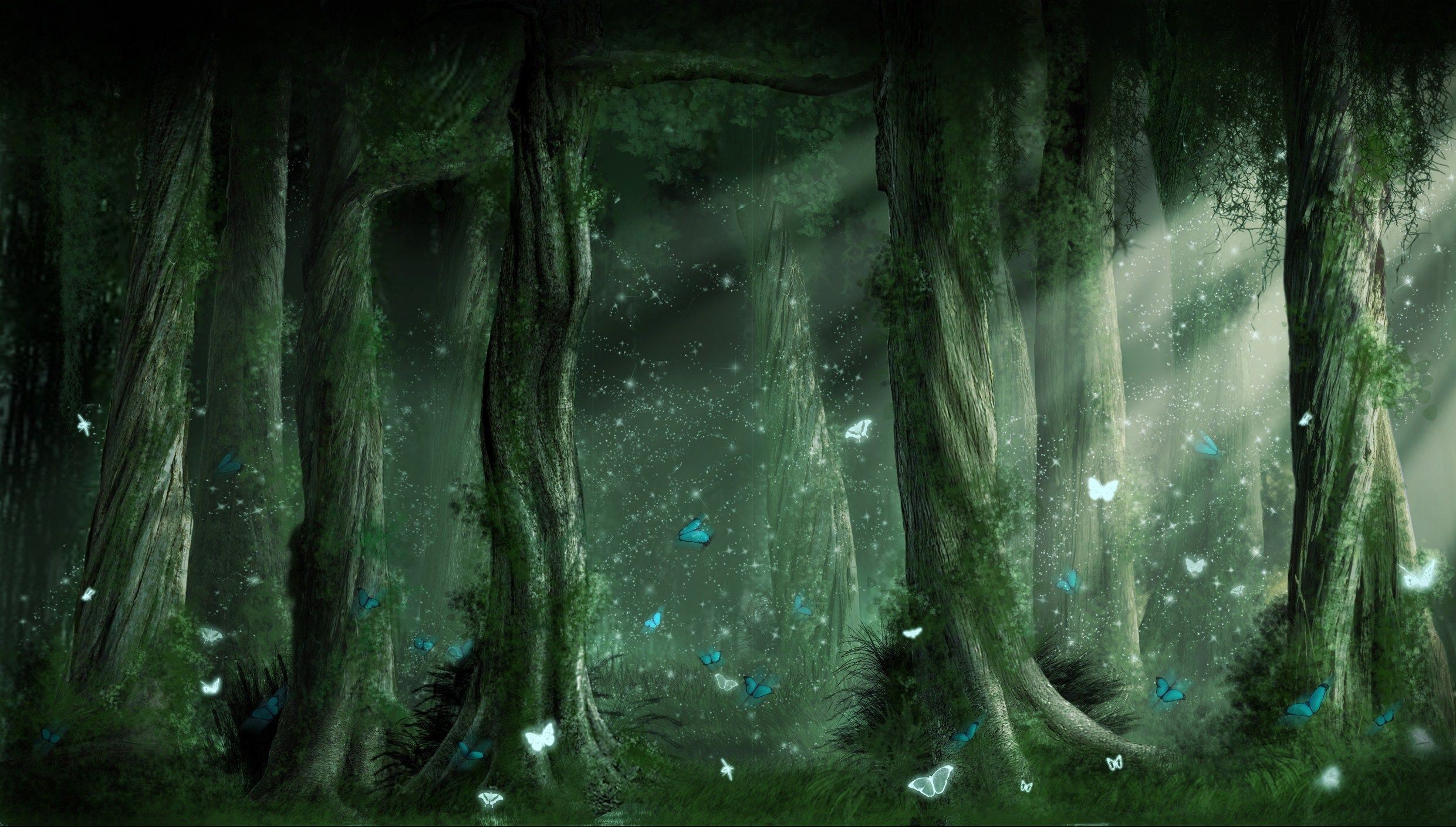 2481x1409 Hd Fantasy Forest Wallpaper 24650 Hd Wallpapers