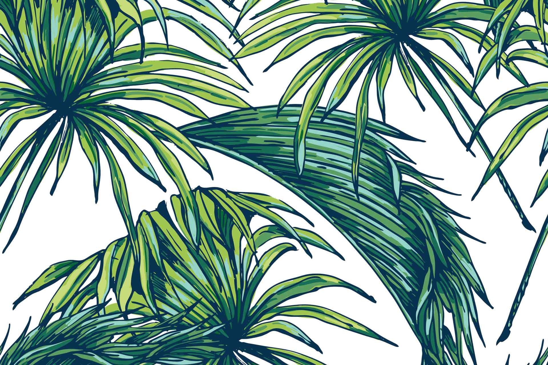 1920x1278 Palm Leaves Wallpaper