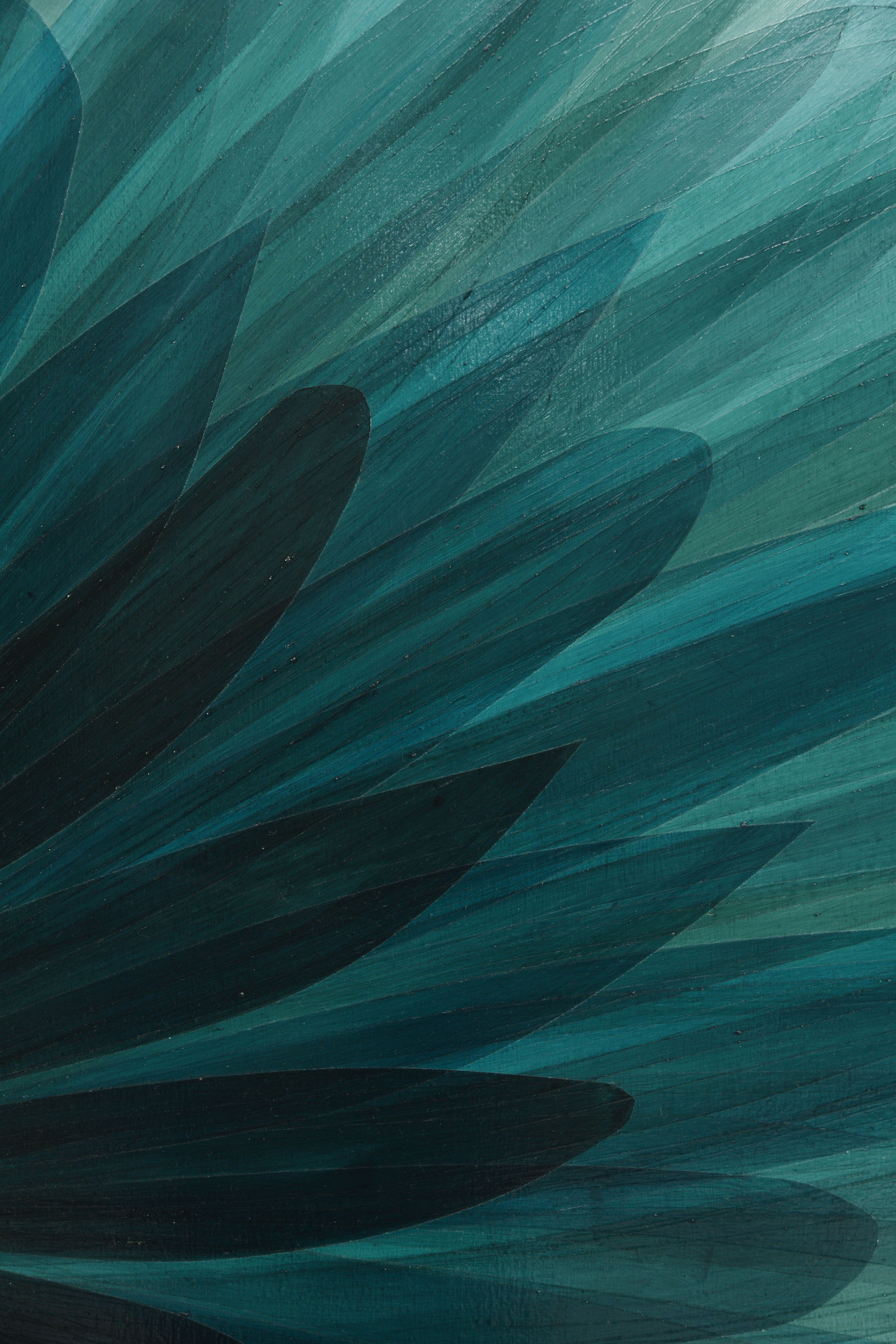 1280x1920 teal; Andre Ermolaev; pinned 11/3/15