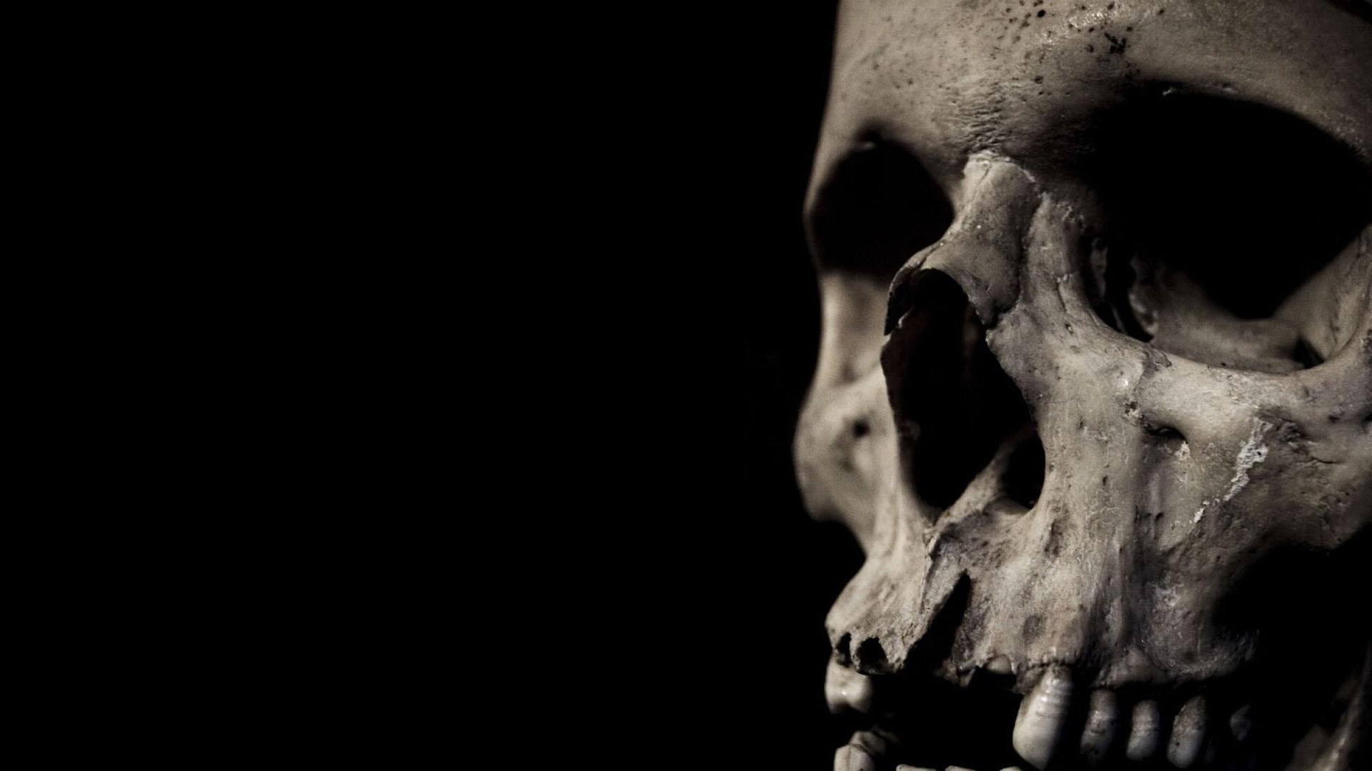 Skull Wallpaper HD.